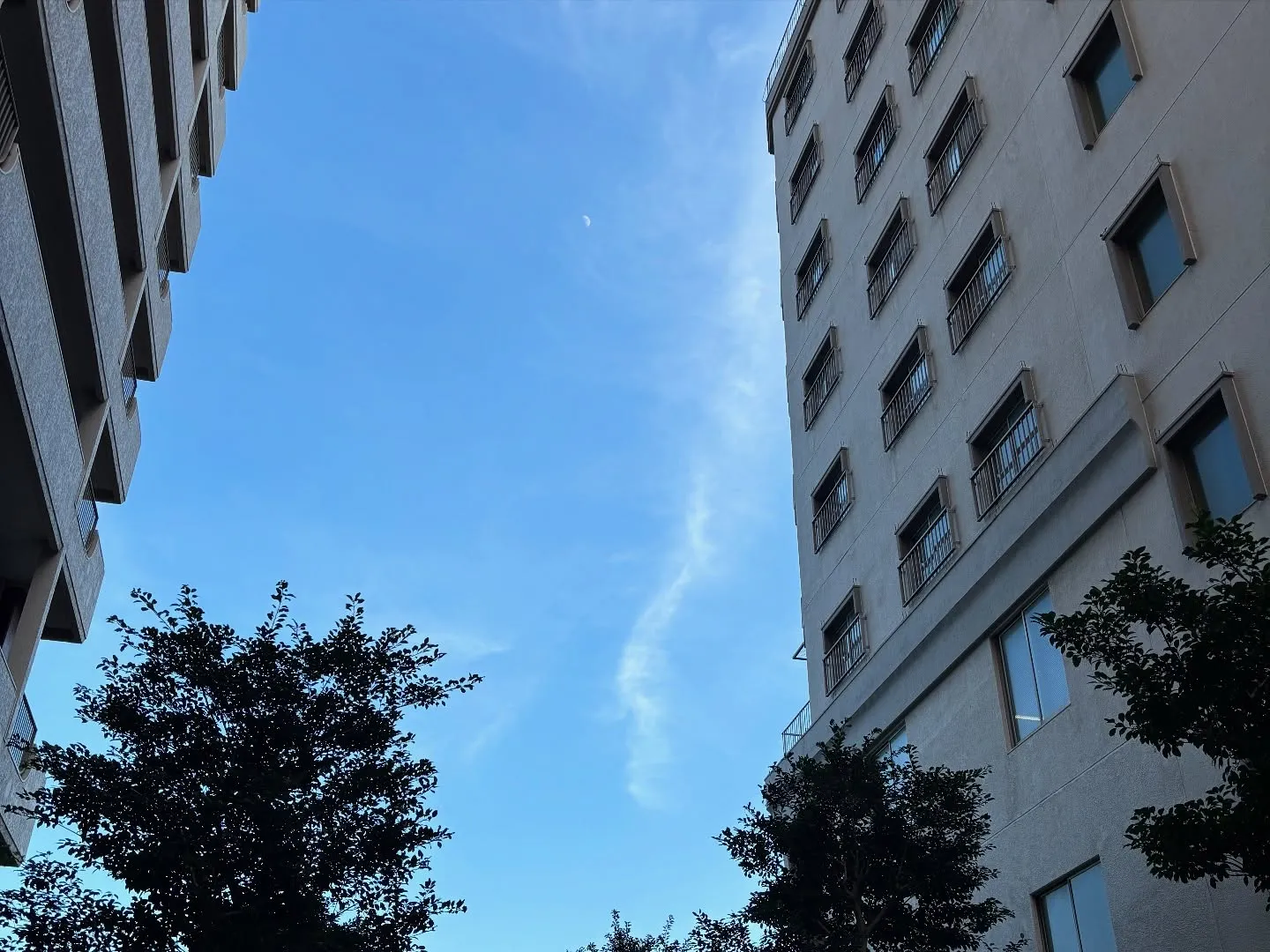 ペットメモリアル神奈川は横須賀市におけるペット火葬の実績と評...