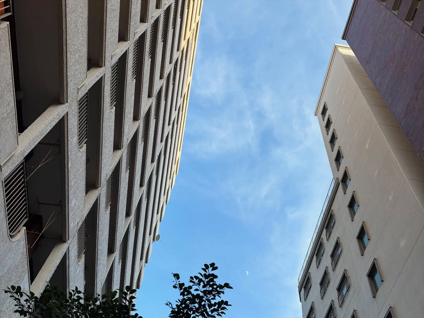 ペットメモリアル神奈川は横須賀市におけるペット火葬の実績と評...