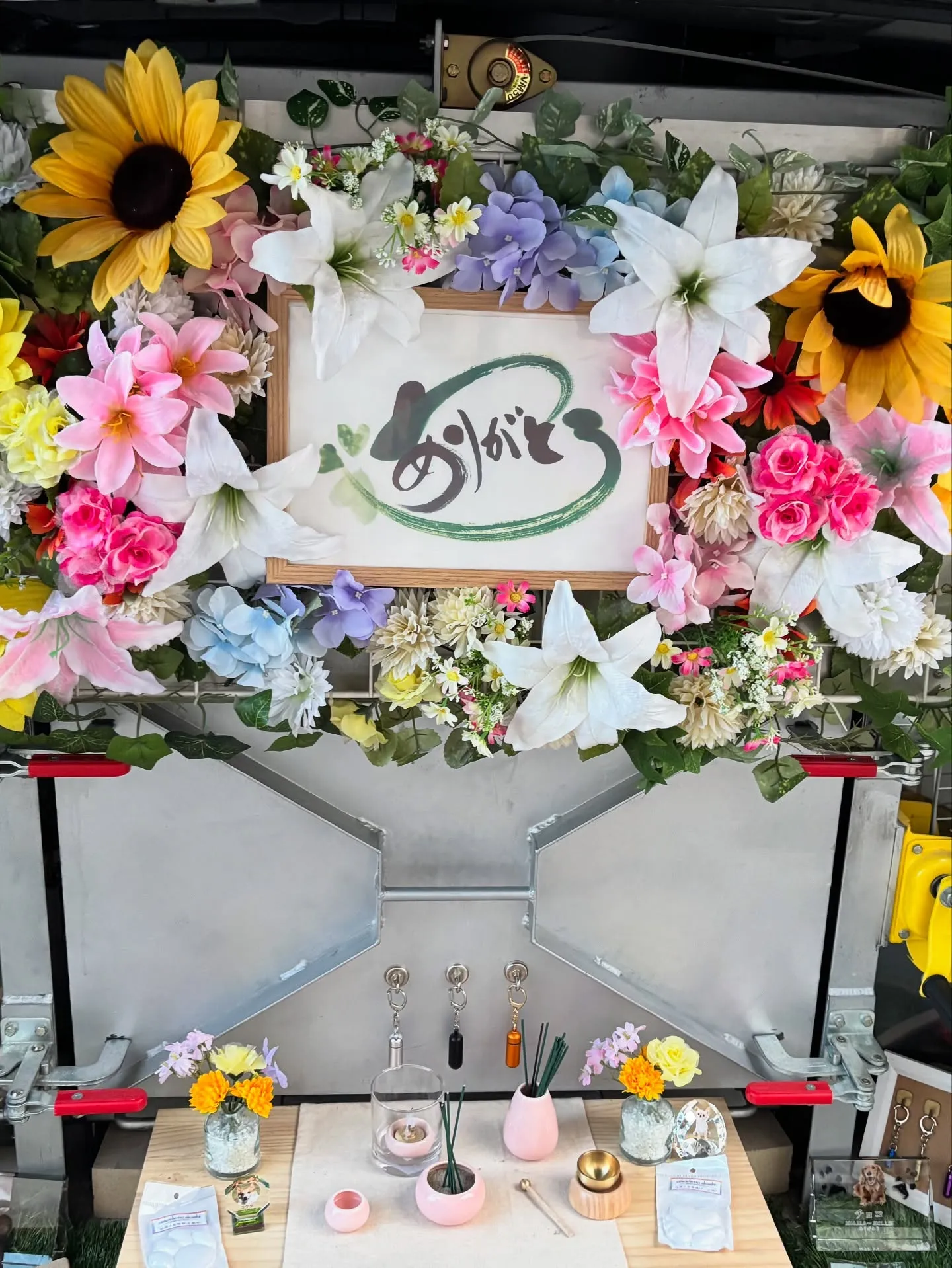 神奈川県横須賀市にて、家族の一員である大切な猫ちゃんのペット...