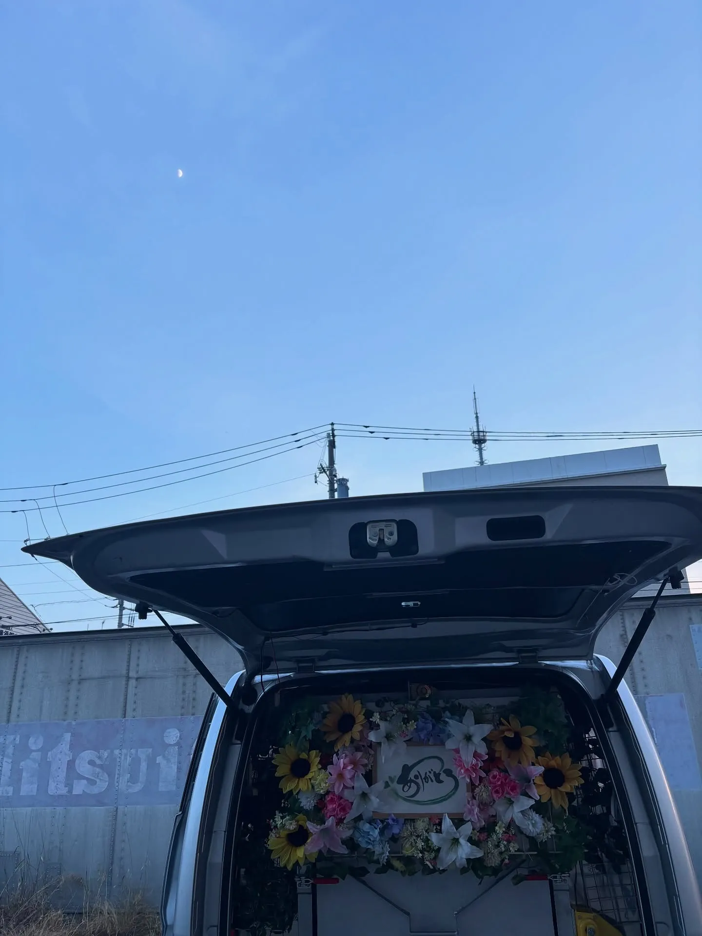 神奈川県横須賀市にて、家族の一員である大切な猫ちゃんのペット...