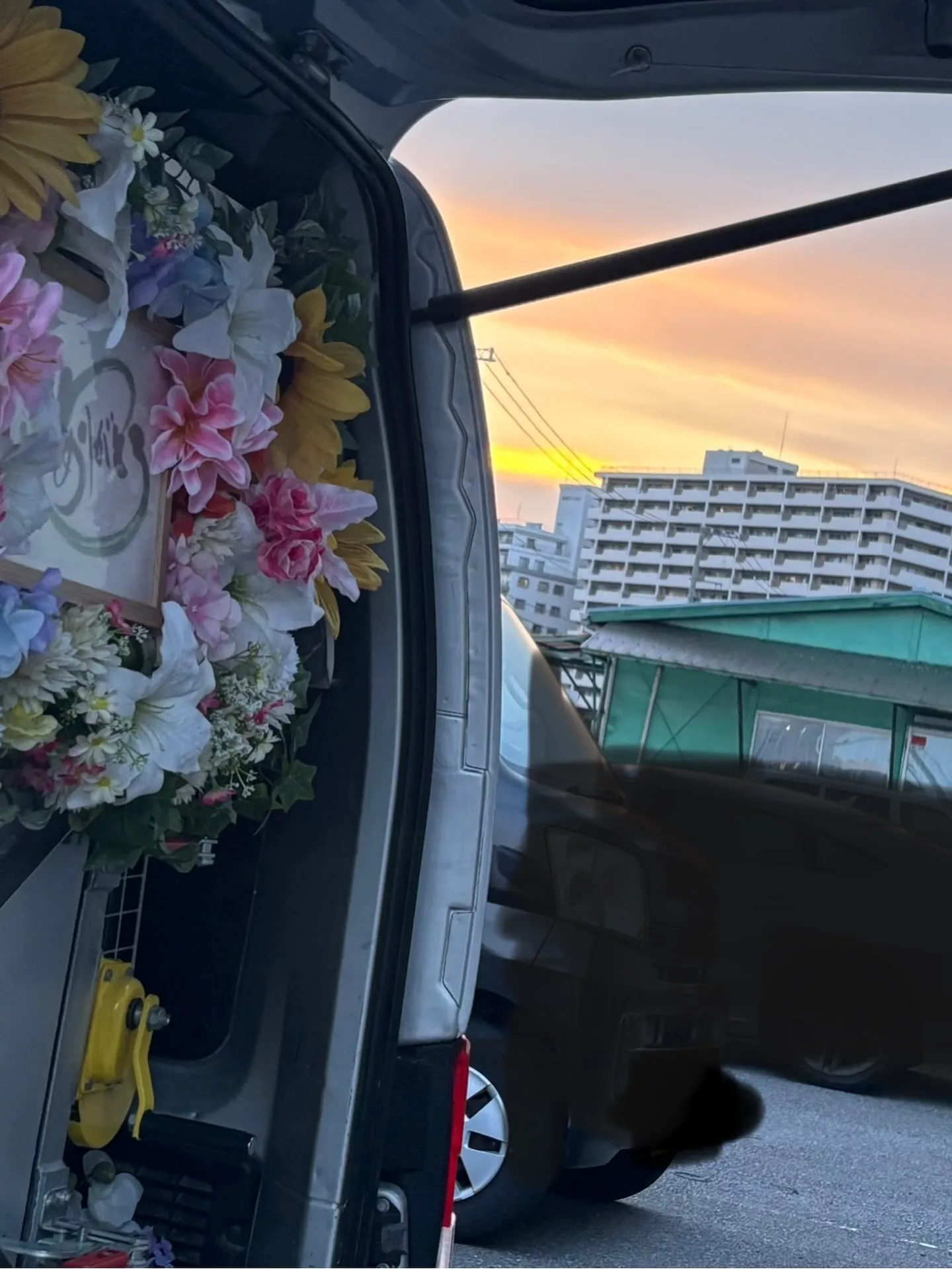 神奈川県横須賀市にて、家族の一員である大切な猫ちゃんのペット...