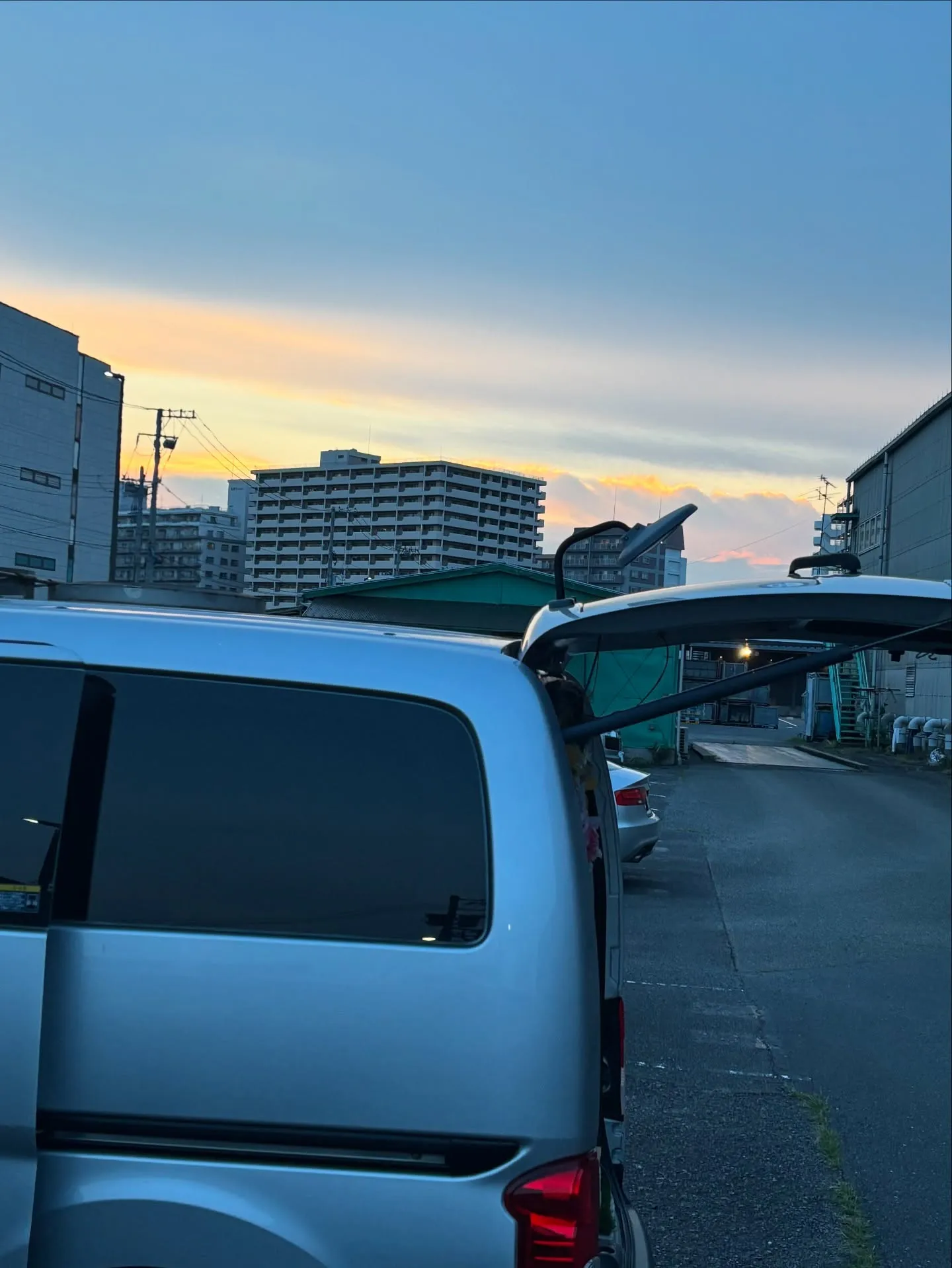 神奈川県横須賀市にて、家族の一員である大切な猫ちゃんのペット...