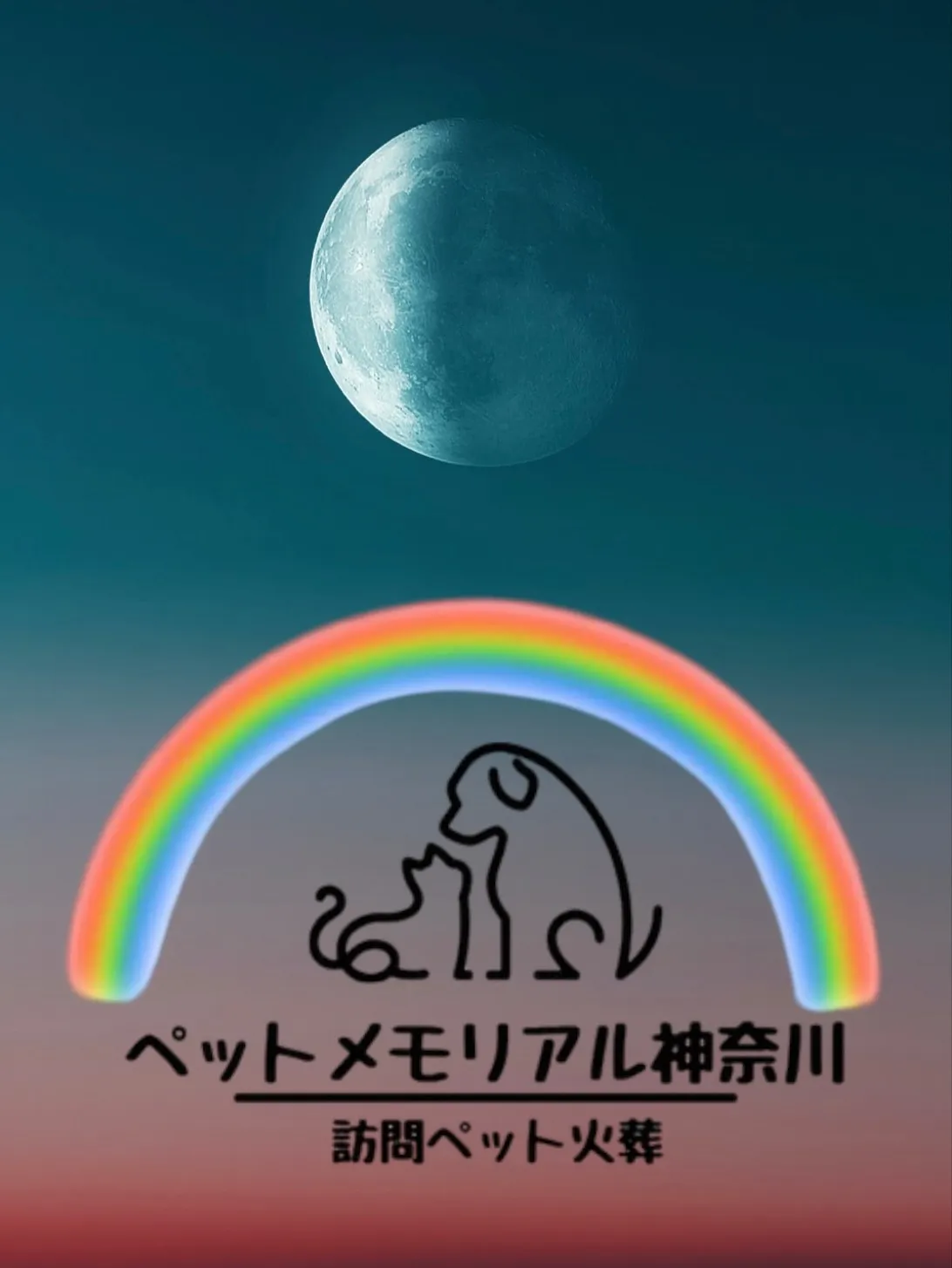神奈川県横須賀市にて、大切な猫ちゃんのペット火葬のお手伝いを...
