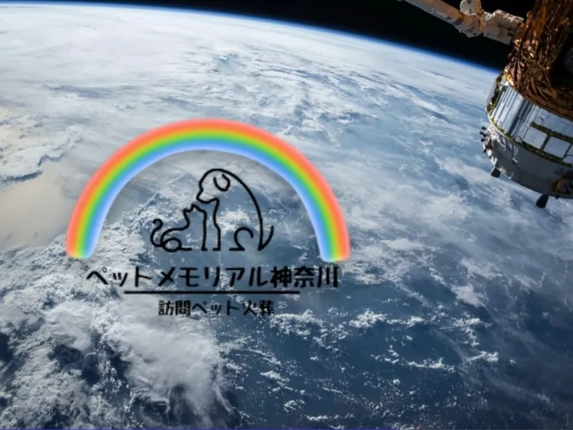 神奈川県横浜市金沢区で、大切な家族の一員であるチワワちゃんの...