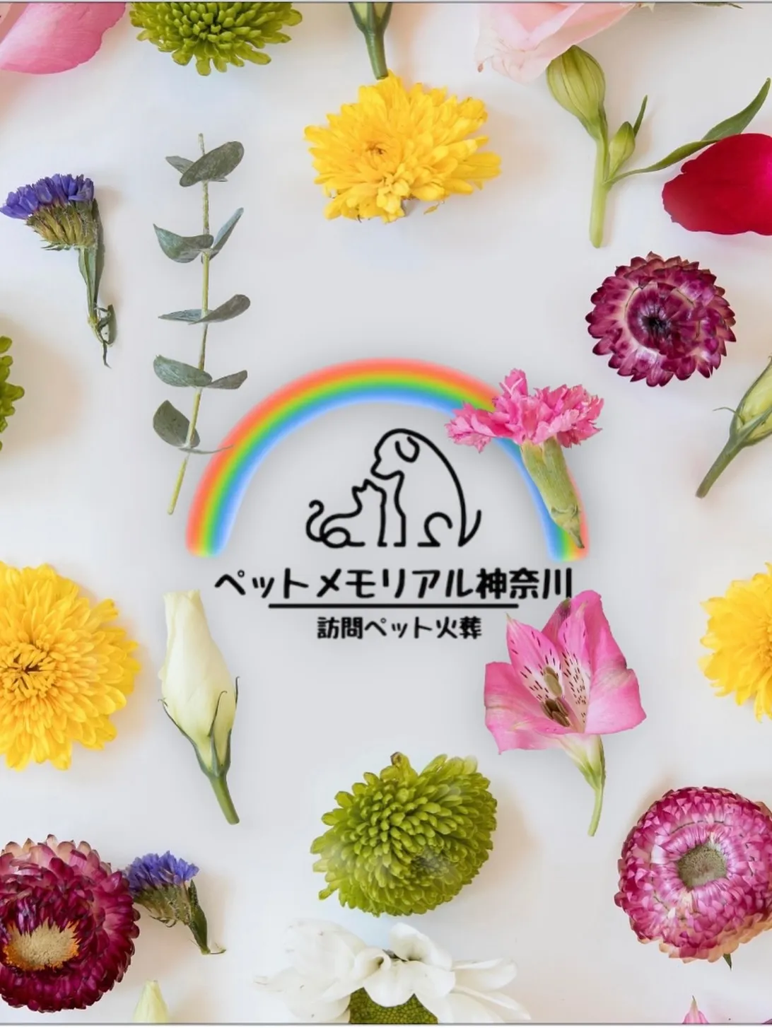 神奈川県横須賀市にて、大切なわんちゃんのお見送りをお手伝いさ...