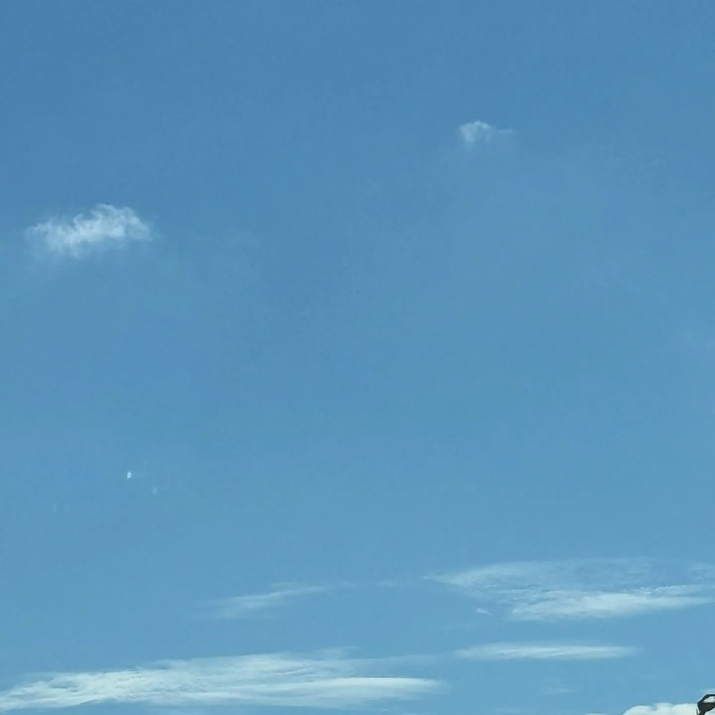 神奈川県横浜市にて、トイプードルちゃんのペット葬儀、ペット火...