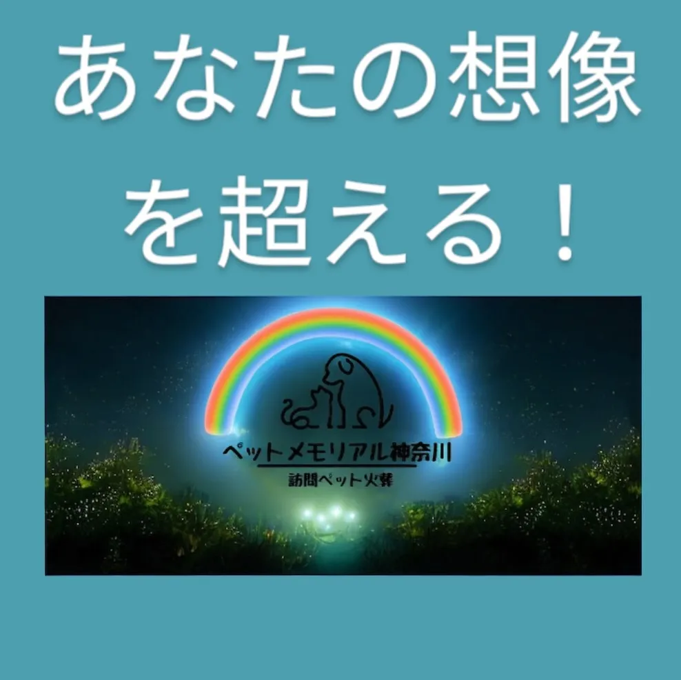 神奈川県横浜市で、セキセイインコちゃんのペット火葬をお手伝い...