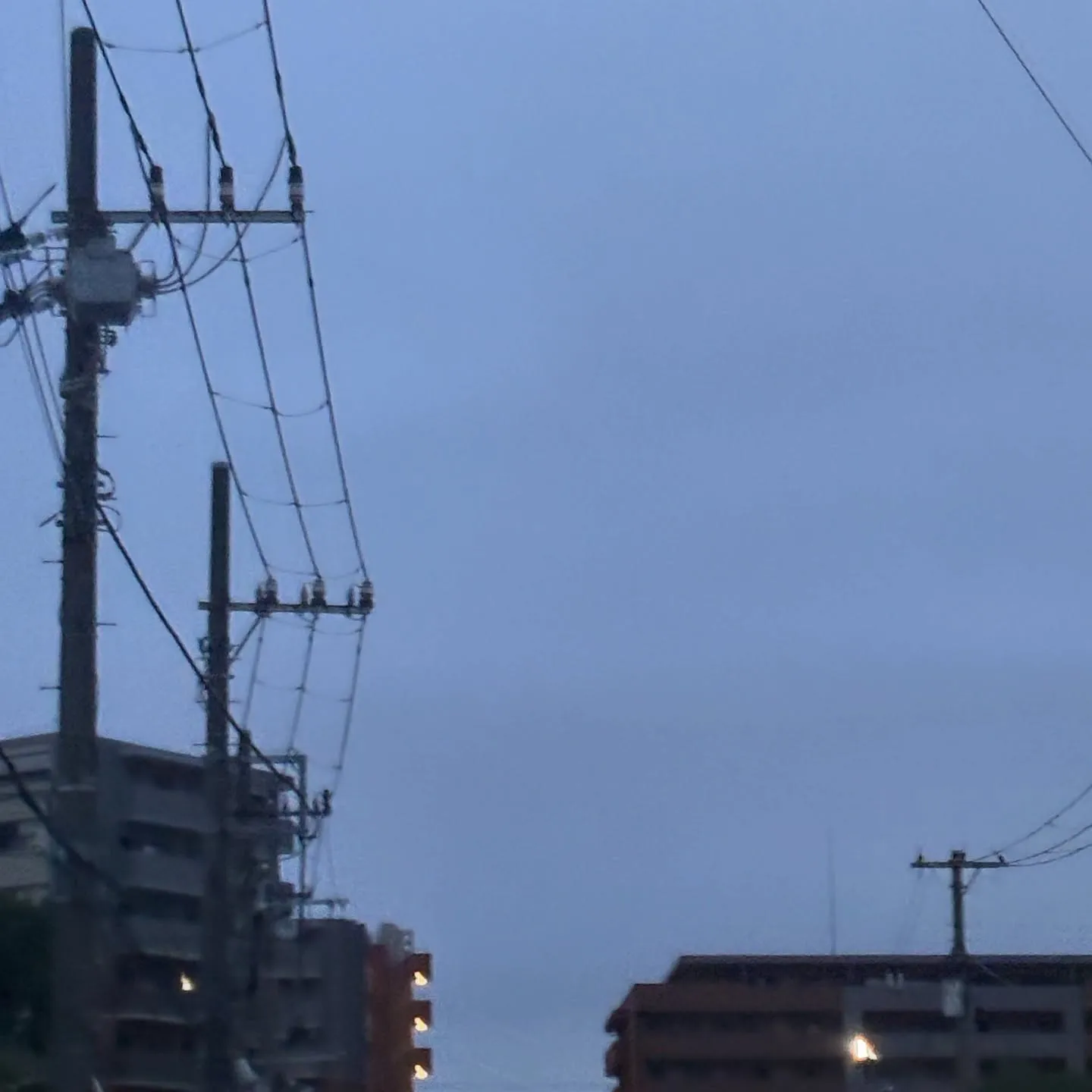 神奈川県横浜市で、セキセイインコちゃんのペット火葬をお手伝い...