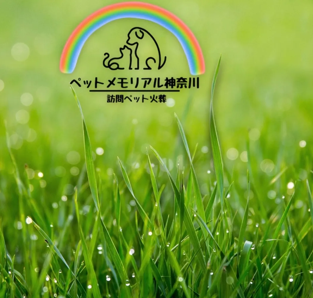 神奈川県横浜市の静かな小雨の中、心温まるお見送りの様子が広が...