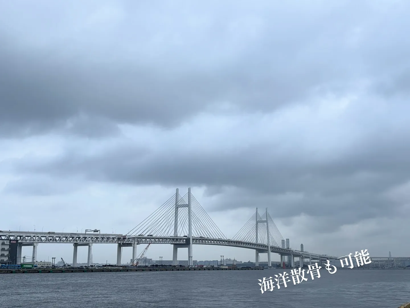 神奈川県にお住まいの皆様に、心温まるペット火葬と葬儀サービス...