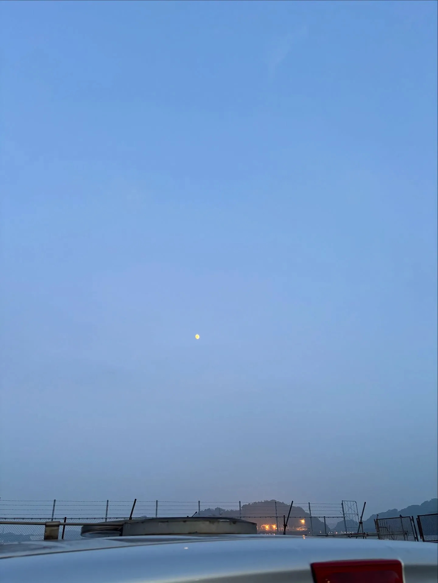 神奈川県横須賀市にて、愛するハムスターちゃんのペット葬儀とペ...