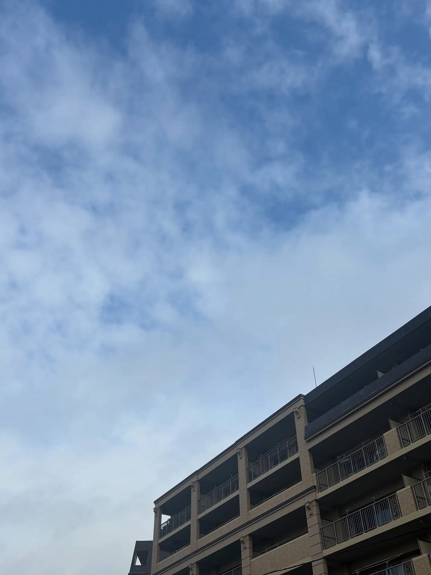 神奈川県横浜市にて、大切な家族の一員であるペットの最後の送り...