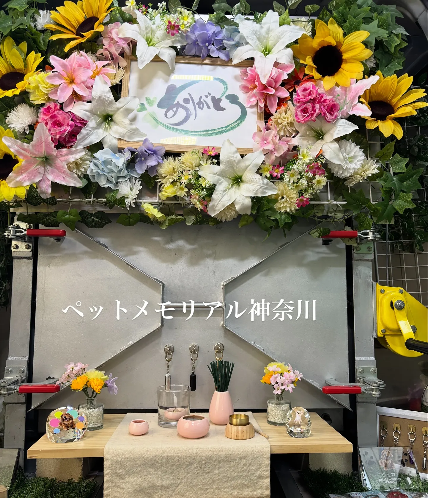 神奈川県横浜市にて、愛されていたチワワちゃんのお見送りの際に...