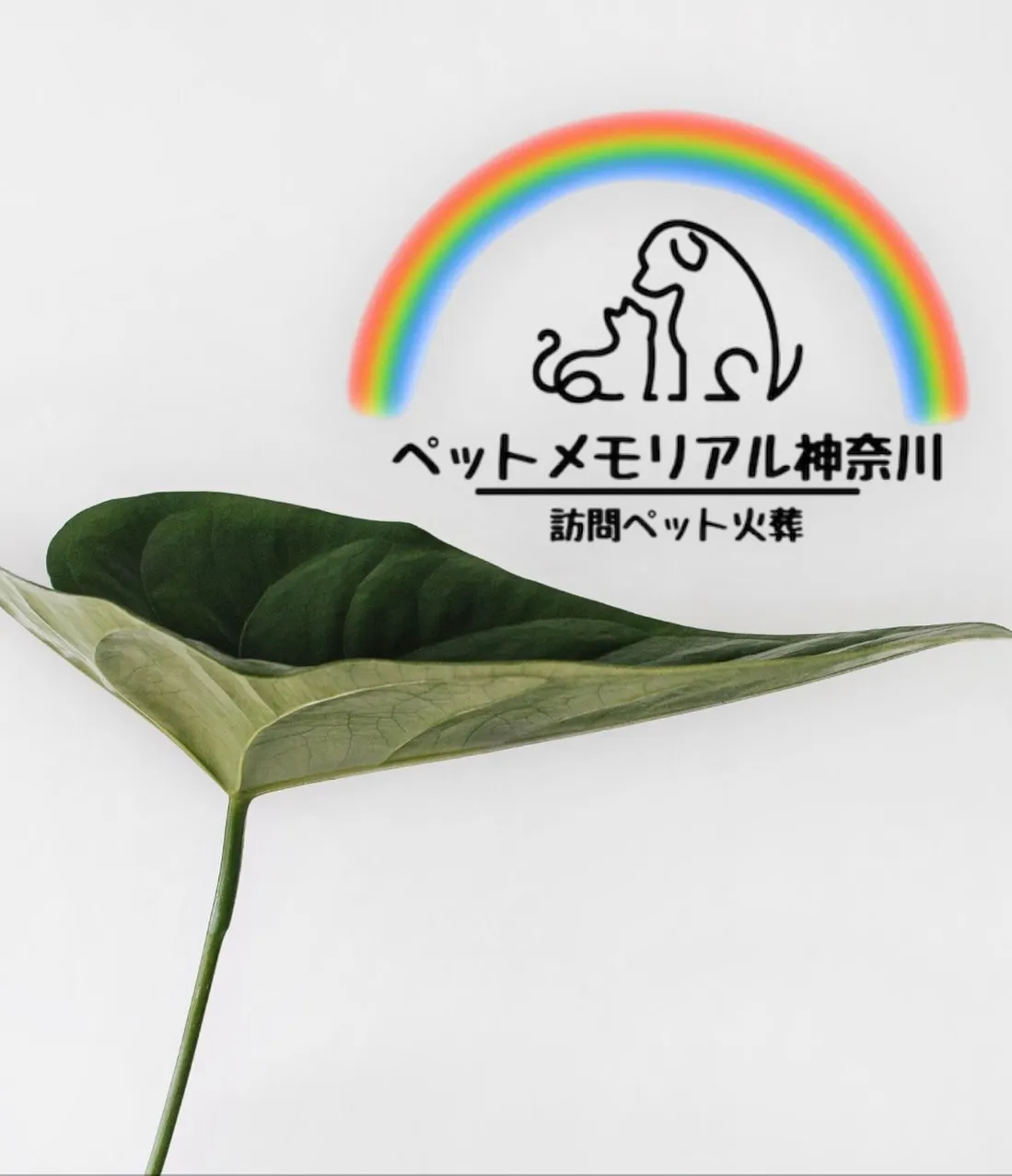神奈川県横浜市にて、愛されていたチワワちゃんのお見送りの際に...