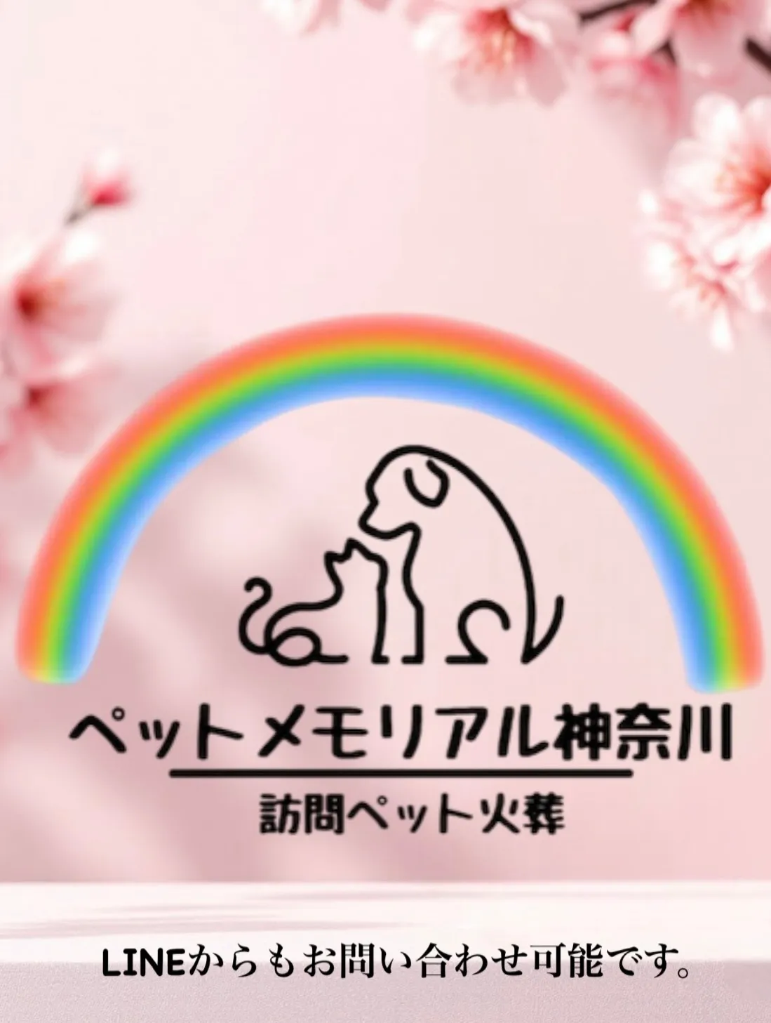 神奈川県横浜市にて、愛されていた猫ちゃんのペット火葬をお手伝...