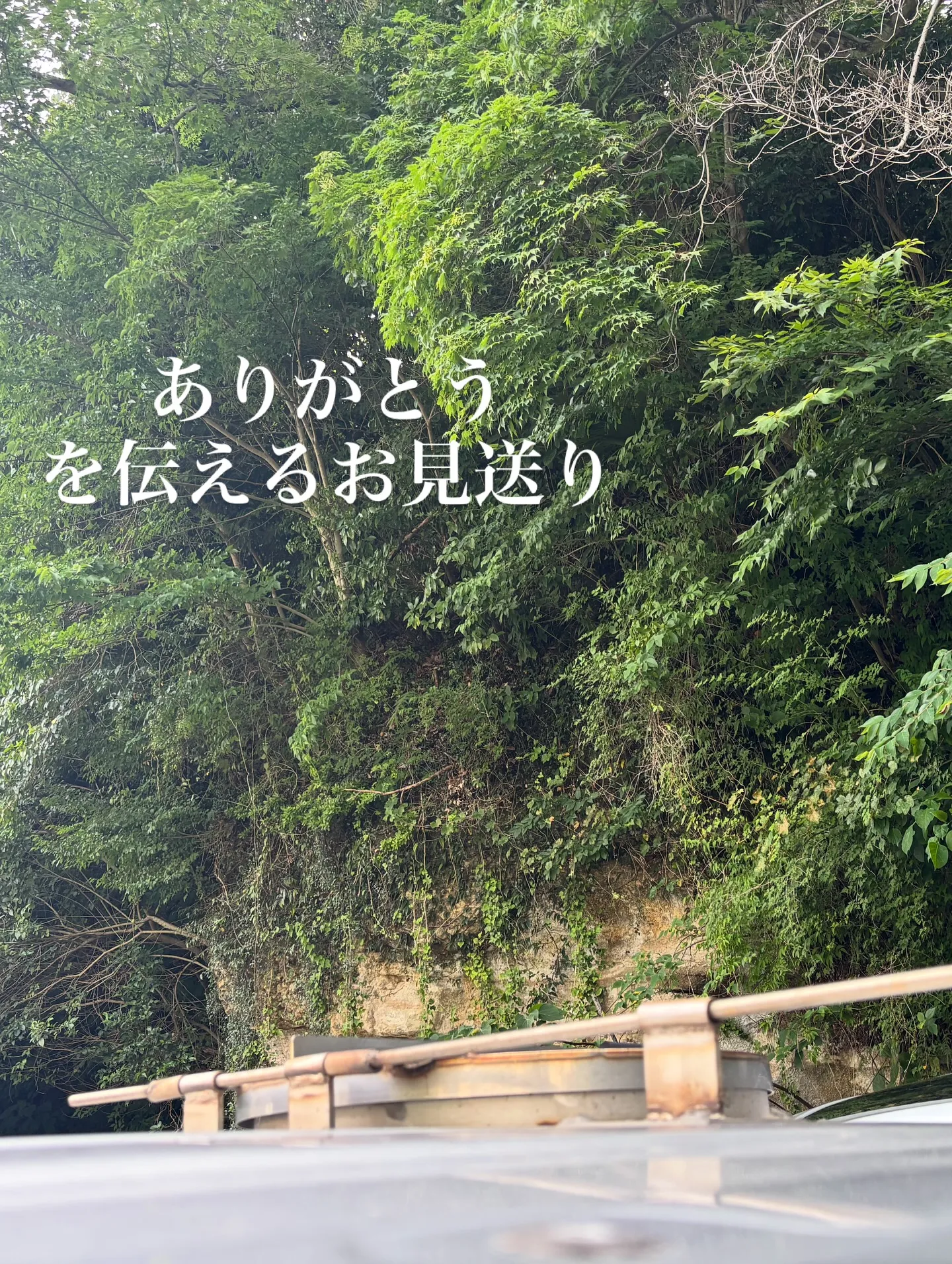 神奈川県横須賀市にて、大切なペットに最後の別れを告げるペット...
