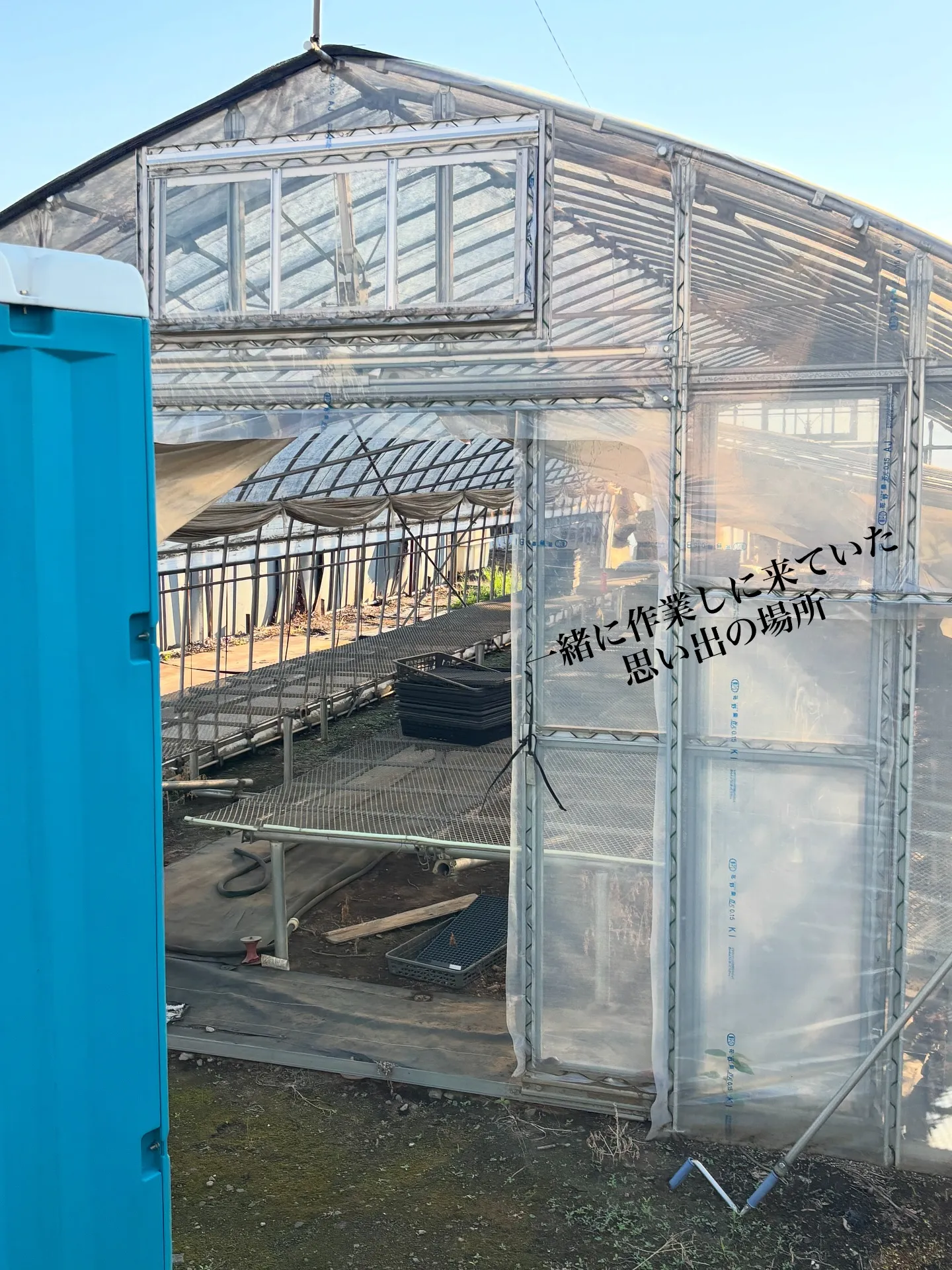 ペットとの思い出の地を旅立つ際、その愛しい仲間をどのように送...