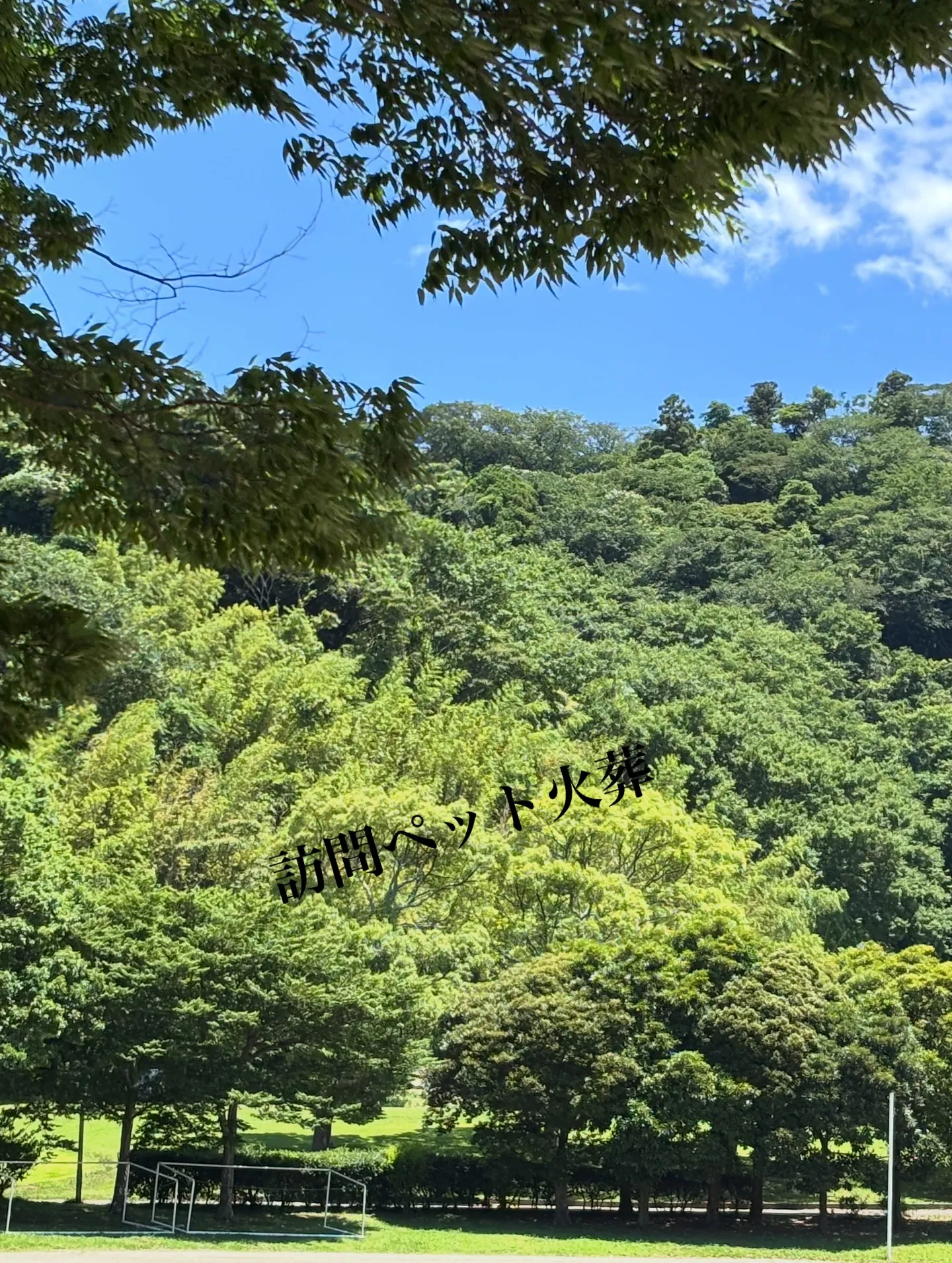 ペットとの思い出の地を旅立つ際、その愛しい仲間をどのように送...
