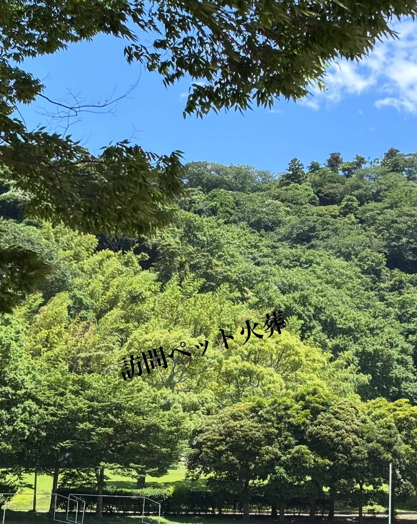 夏が近づくと、暑さ対策が重要になりますね。