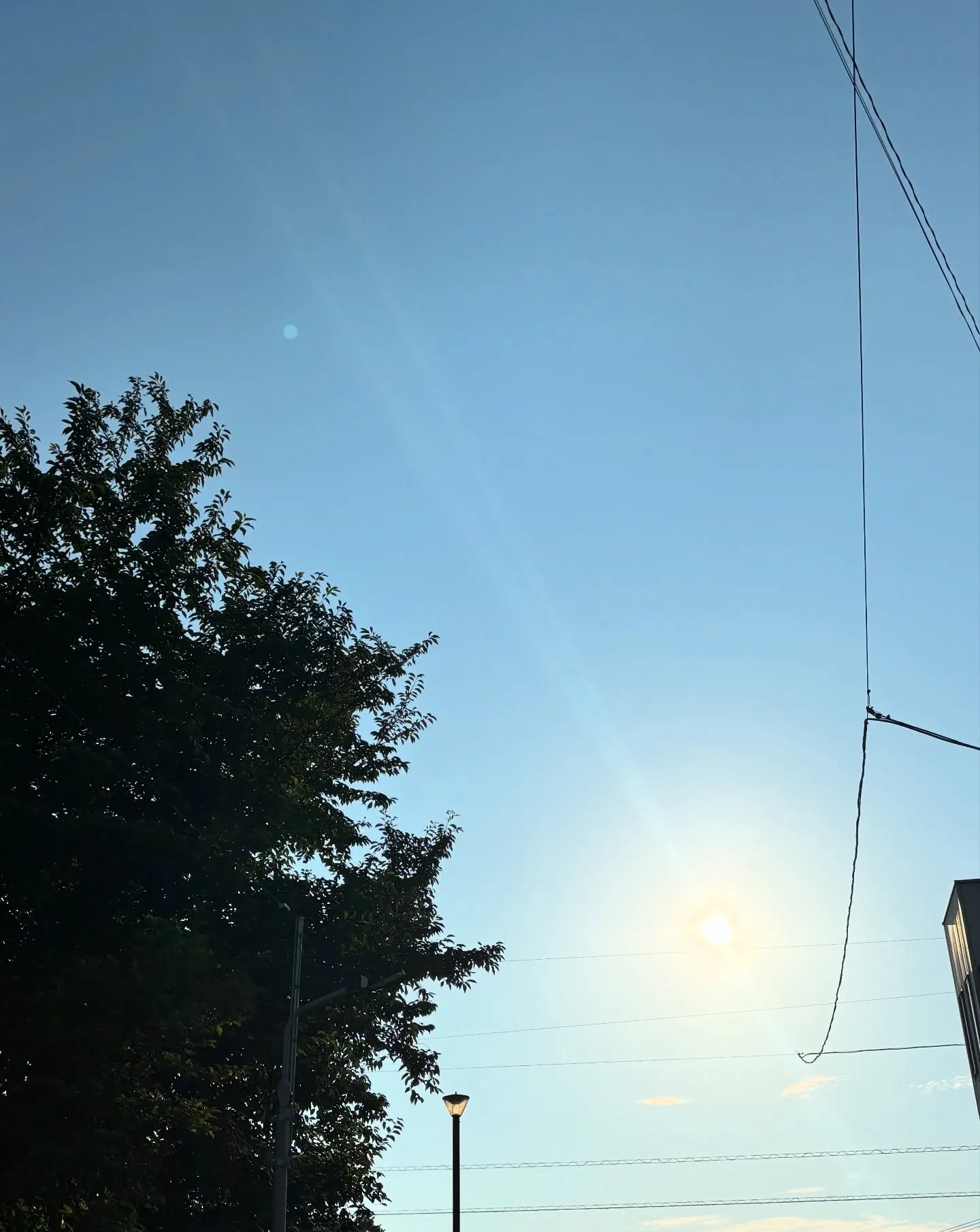 夏が近づくと、暑さ対策が重要になりますね。