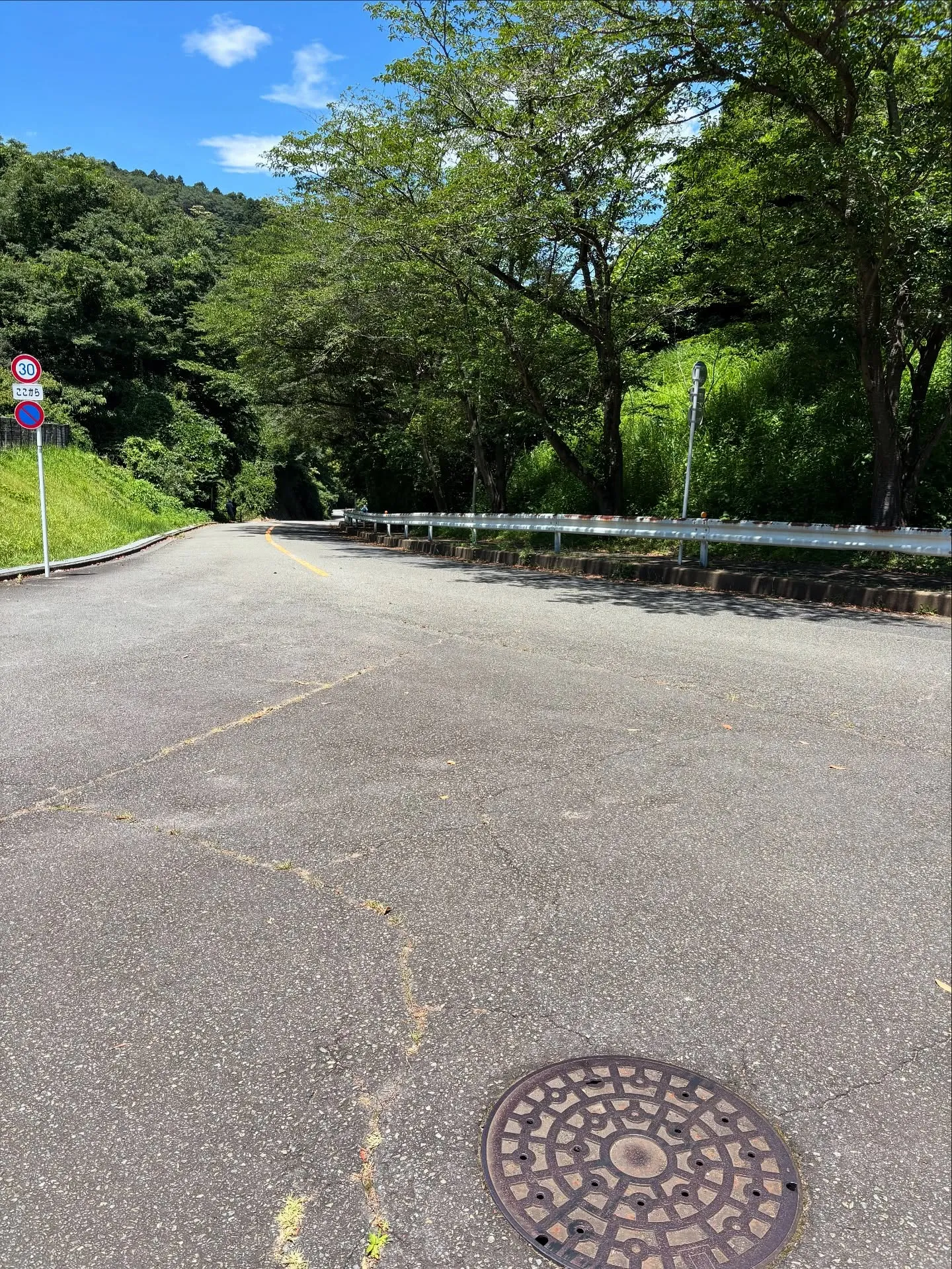 横須賀市や神奈川県周辺で大切なペットを見送る際、訪問火葬とい...