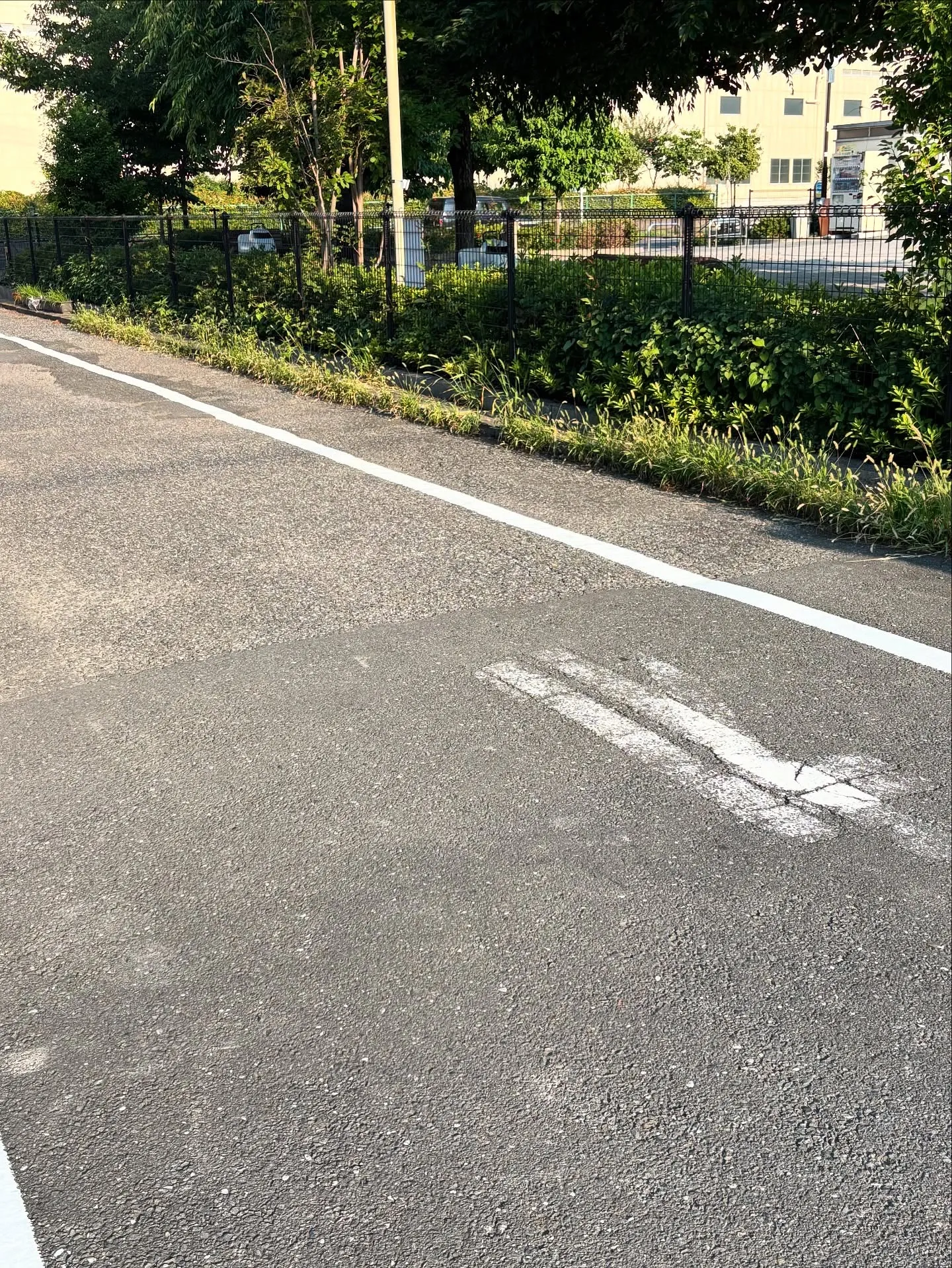 横須賀市や神奈川県周辺で大切なペットを見送る際、訪問火葬とい...