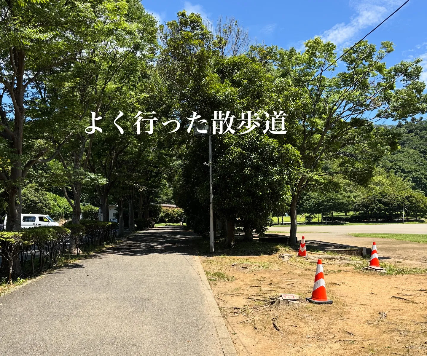 ペットは私たちの生活に大きな喜びと癒しをもたらしてくれます。