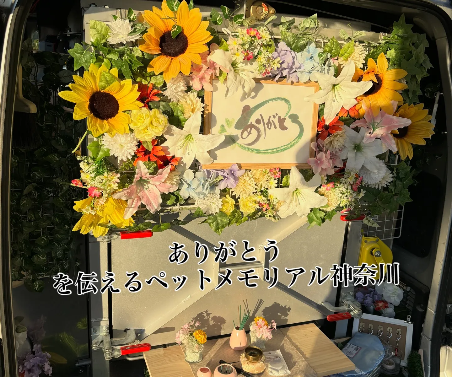 ペットは私たちの生活に大きな喜びと癒しをもたらしてくれます。