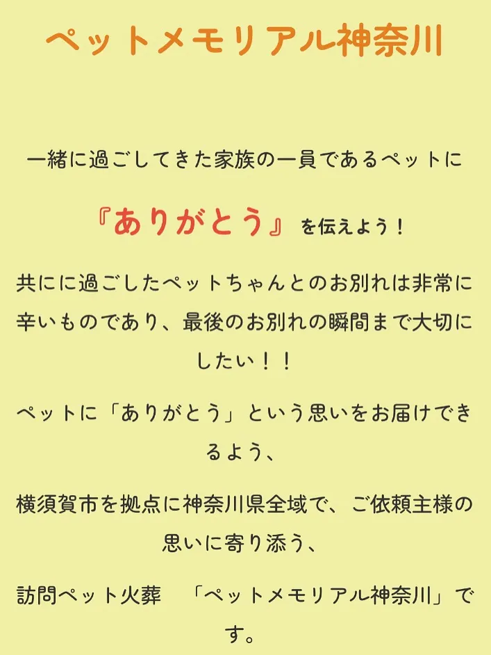 神奈川県横須賀市にて、大切なペットである猫ちゃんの葬儀、火葬...