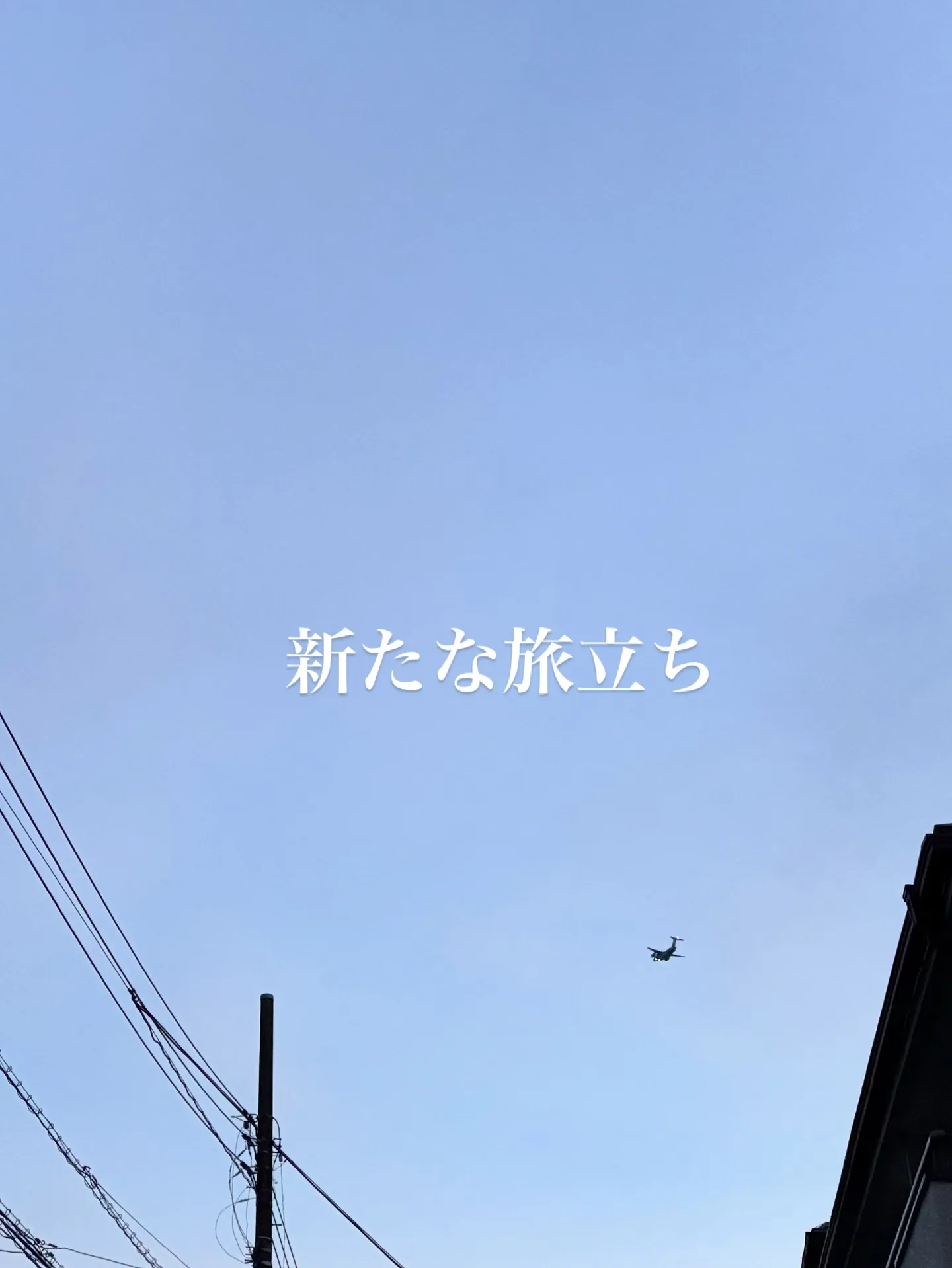 神奈川県横浜市にて、家族の一員であった猫ちゃんの訪問ペット葬...