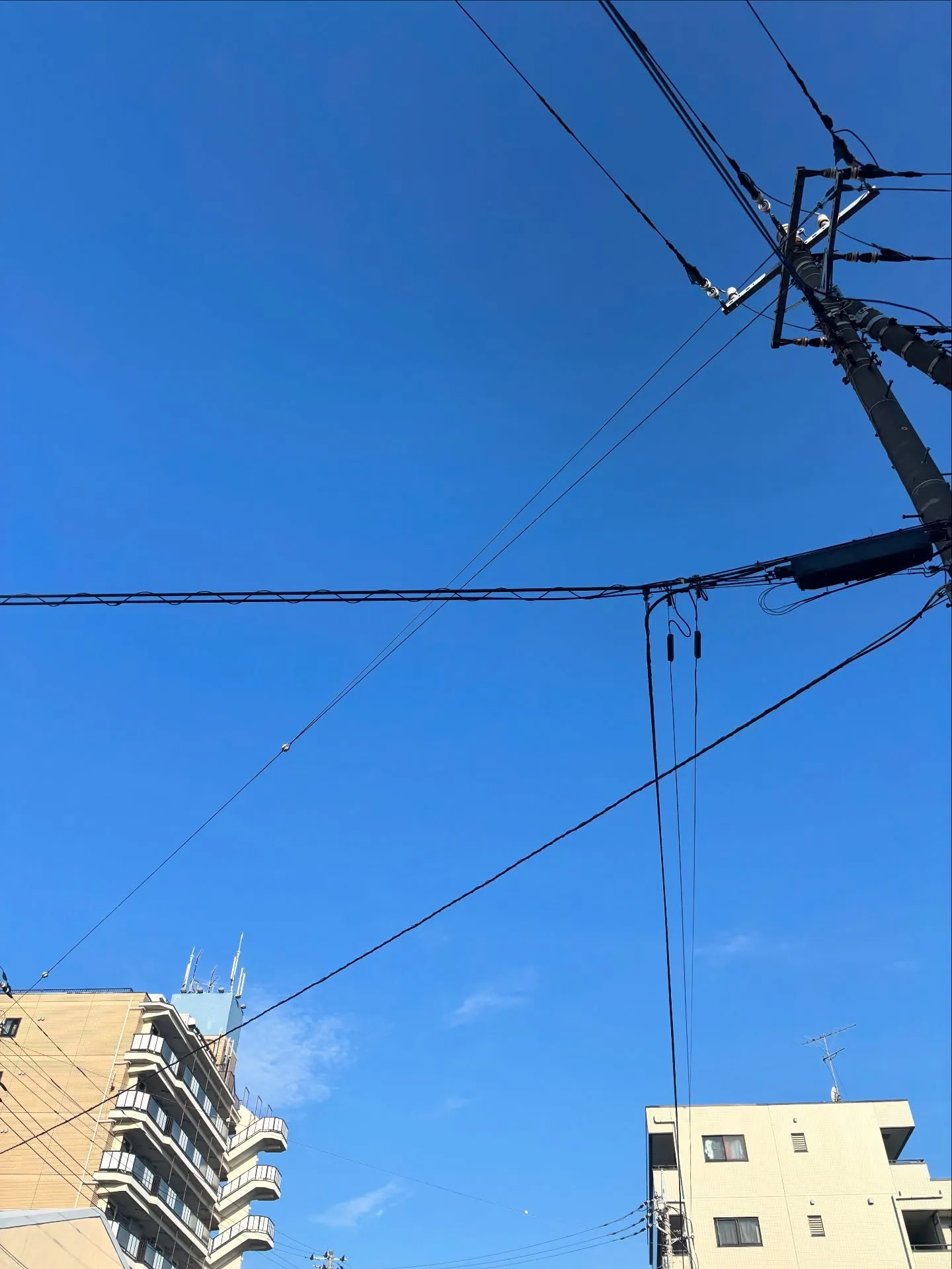 横須賀市に拠点を置く訪問ペット火葬「ペットメモリアル神奈川」...