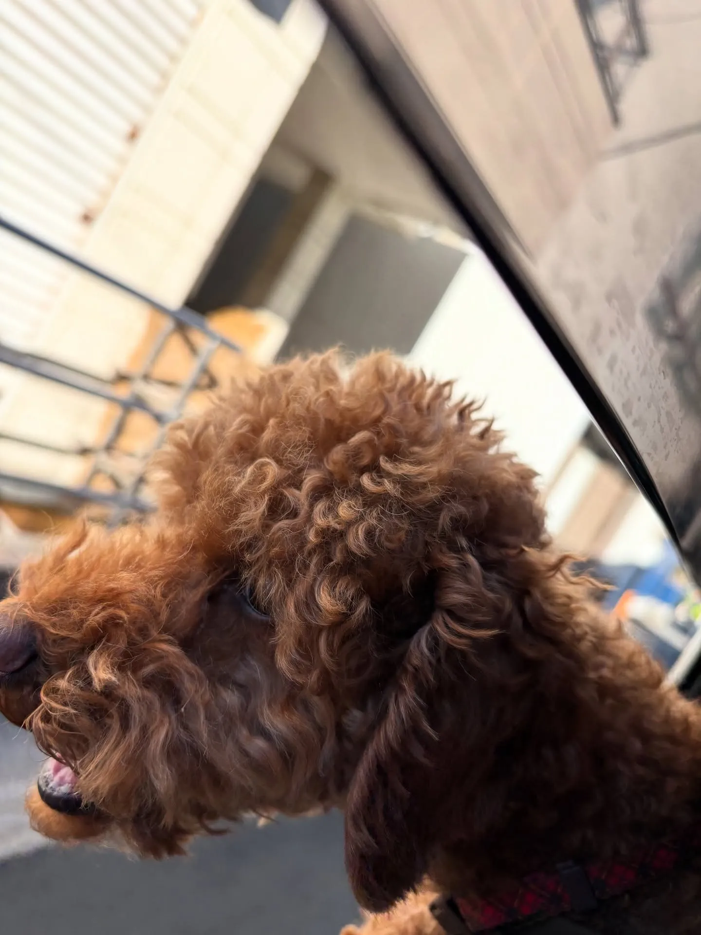 津波警報が発令された際には、まずは落ち着いて情報を確認し、速...