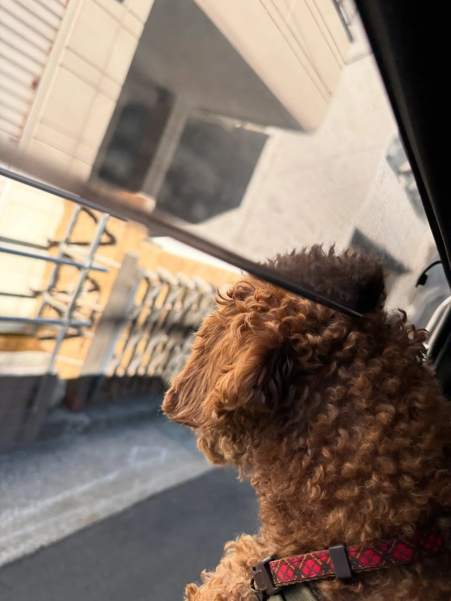 津波警報が発令された際には、まずは落ち着いて情報を確認し、速...