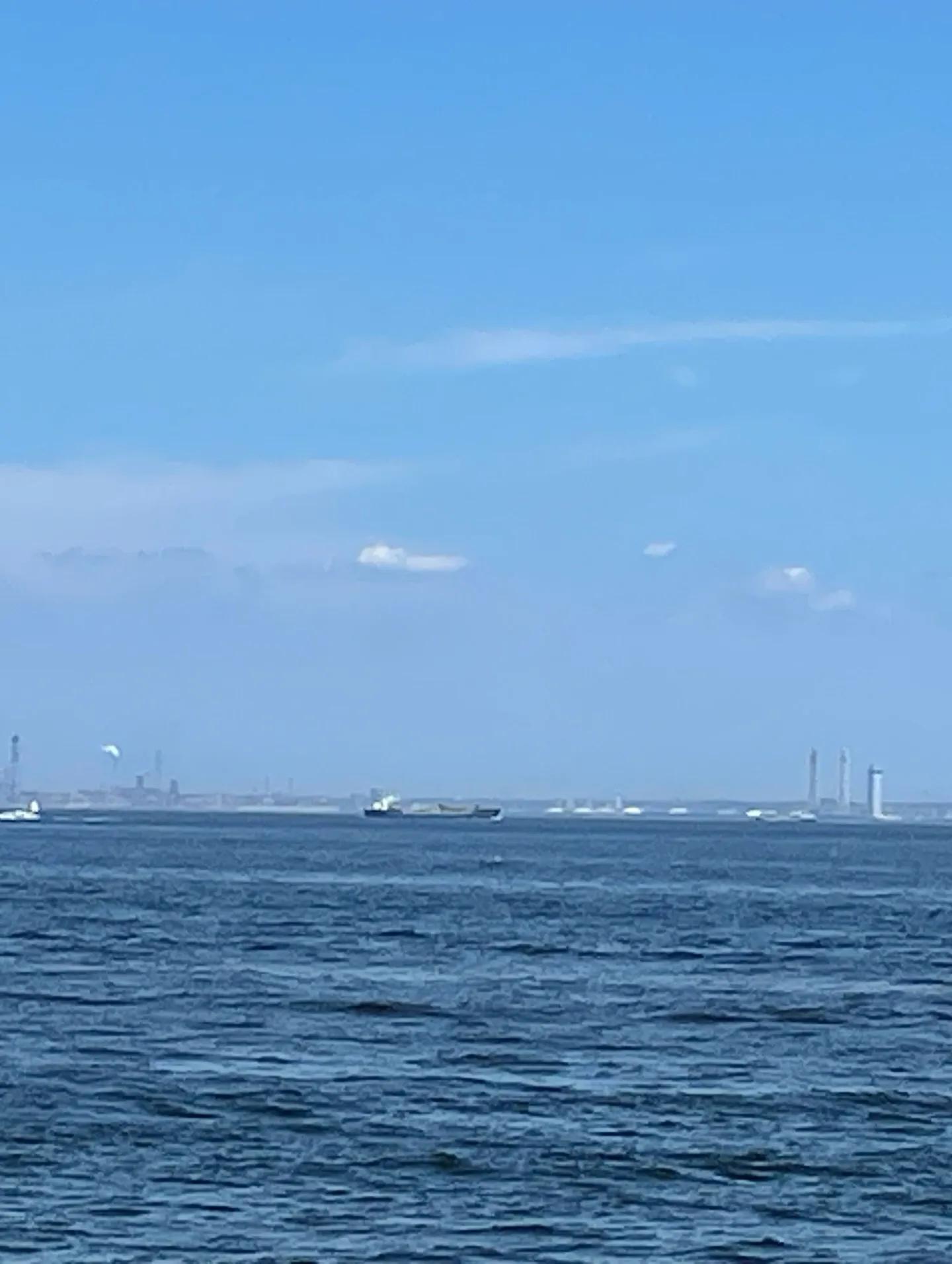 津波警報が発令された際には、まずは落ち着いて情報を確認し、速...