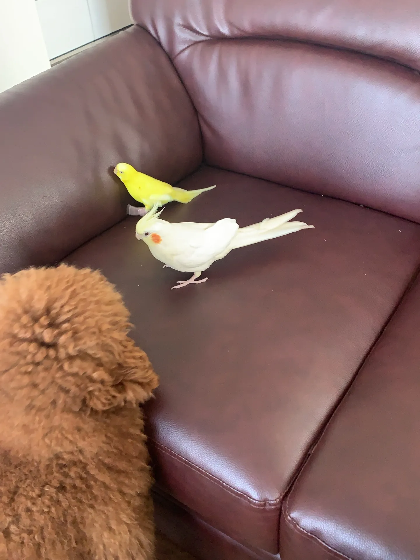 津波警報が発令された際には、まずは落ち着いて情報を確認し、速...