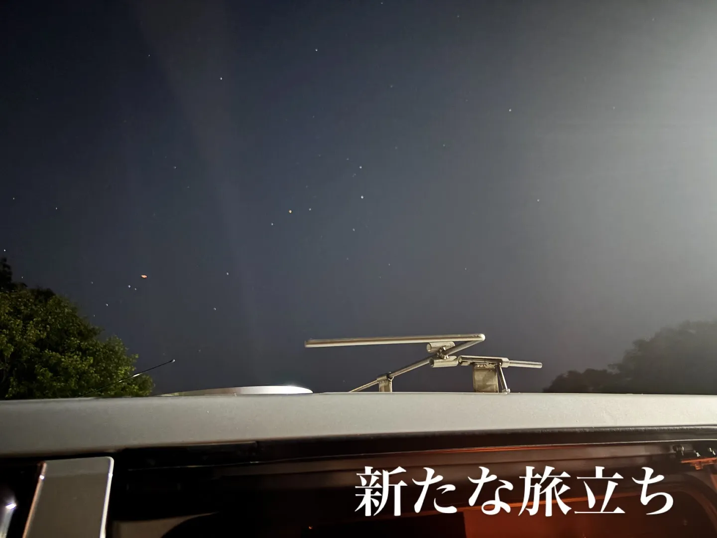 神奈川県横須賀市で、愛らしいトイプードルちゃんのお見送りとペ...