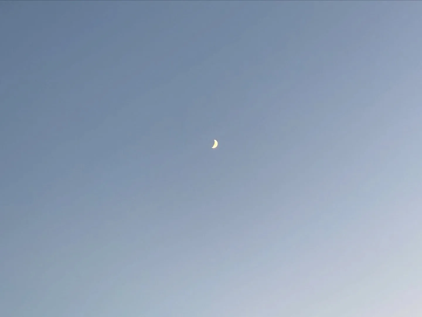 神奈川県横須賀市で、愛らしいトイプードルちゃんのお見送りとペ...