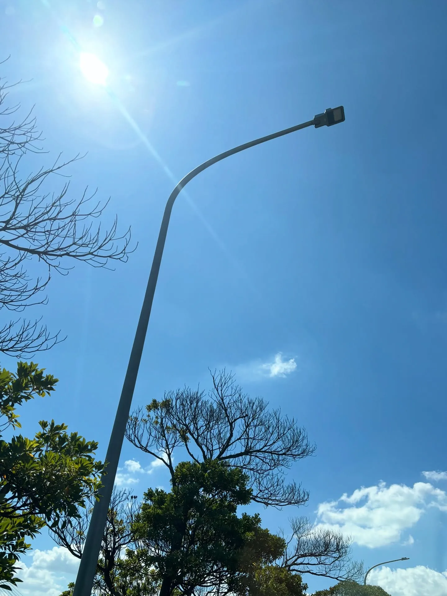 神奈川県三浦市でのうさぎさんの訪問ペット火葬の際、小さなお子...