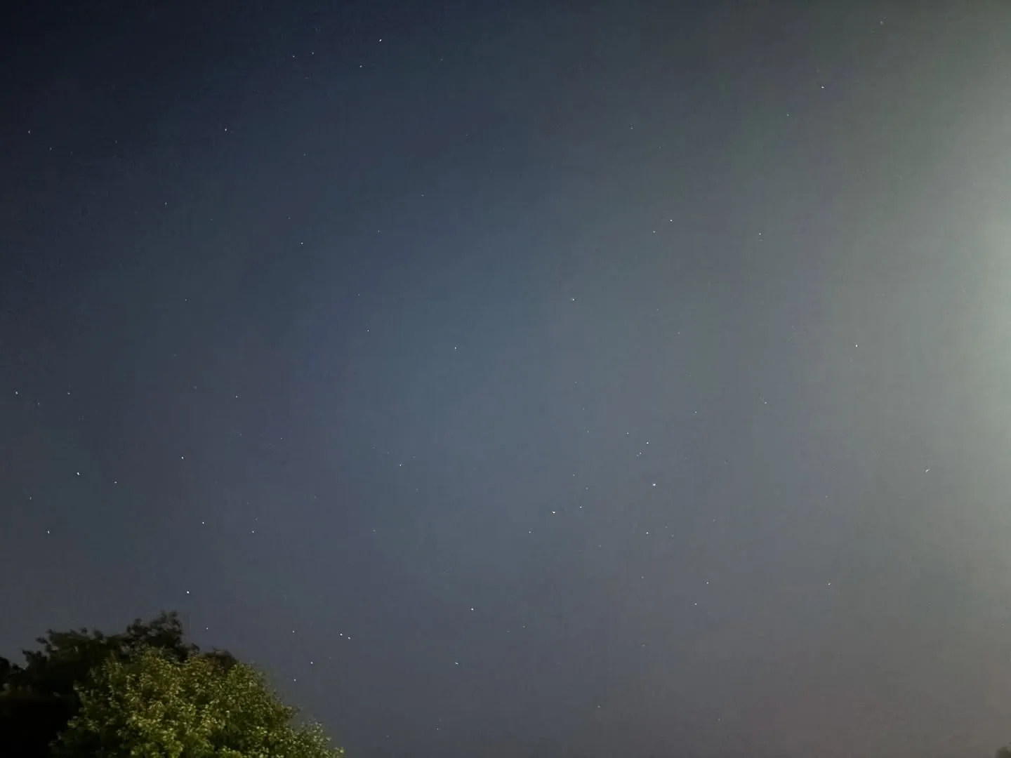 ペットは家族の一員であり、大切な存在です。