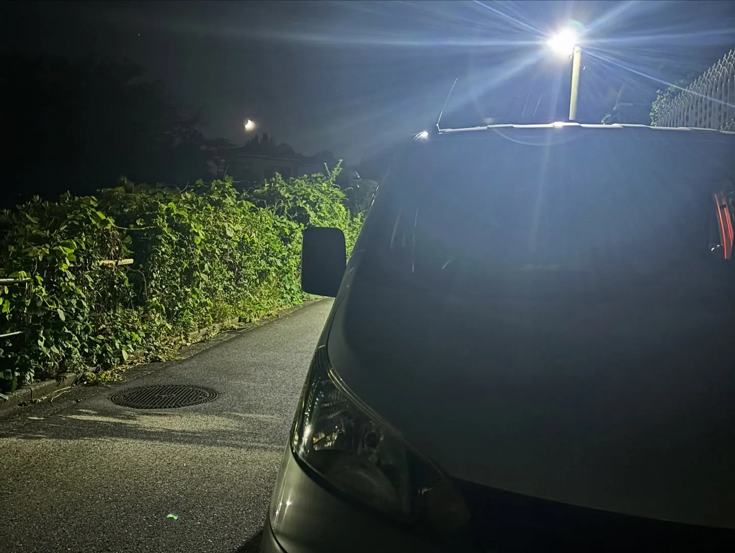 ペットは家族の一員であり、大切な存在です。