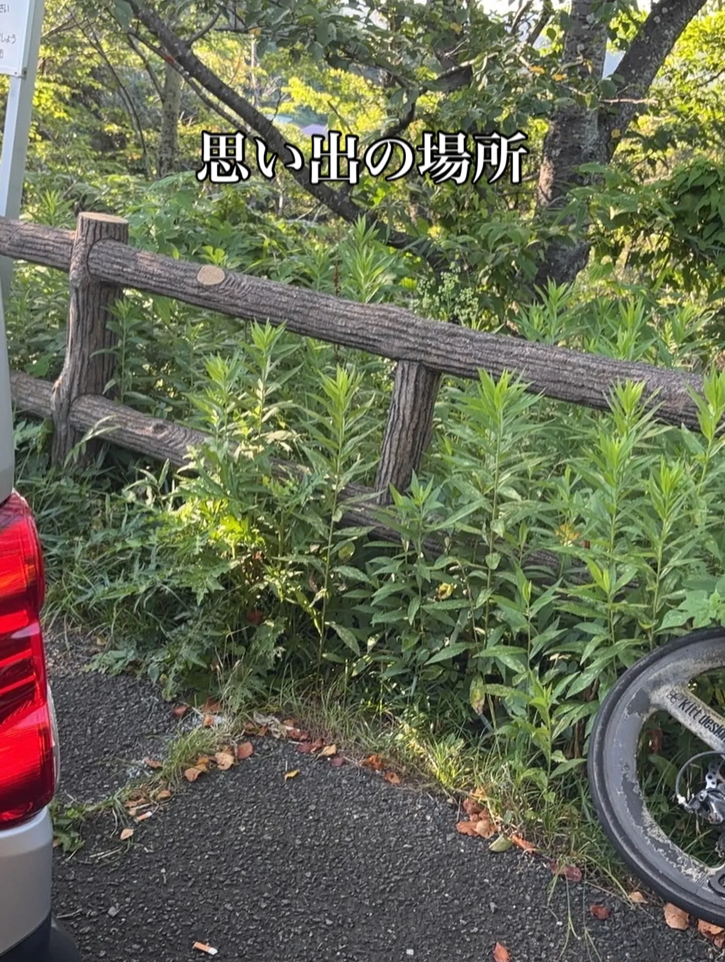 大切なペットとの最後のお別れは、心からの感謝と愛情に包まれた...