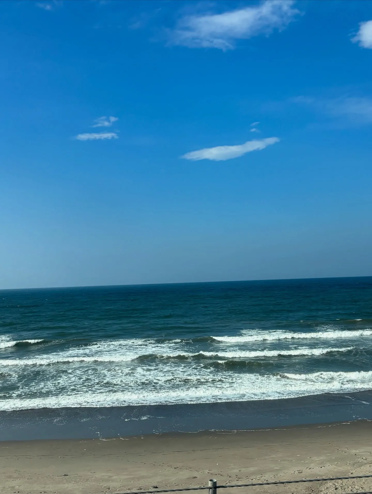 神奈川県藤沢市のご家族様と一緒に愛猫の納骨式にお供させていた...