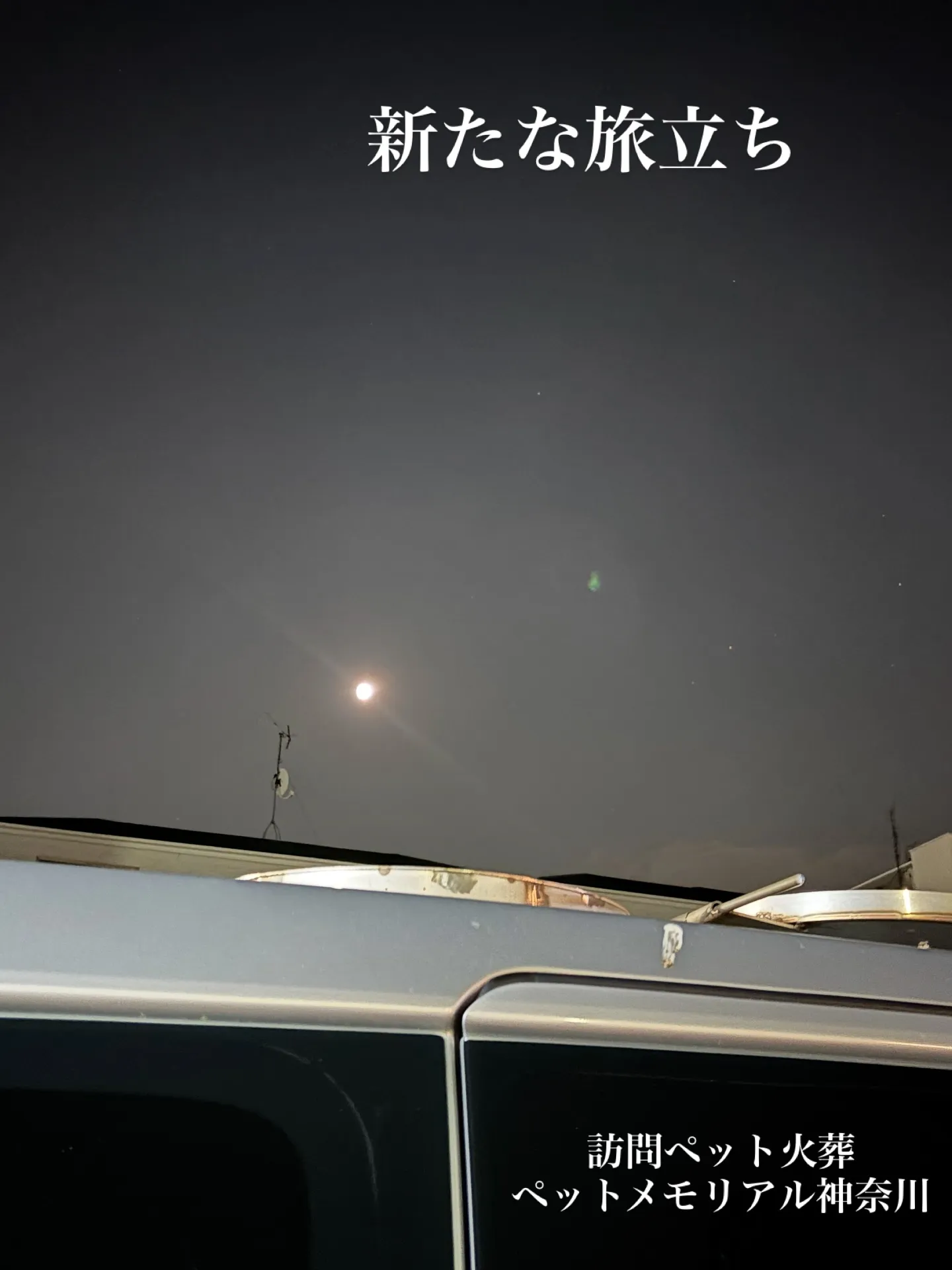 先日、神奈川県横浜市にてリピーター様のペットのお見送りとペッ...