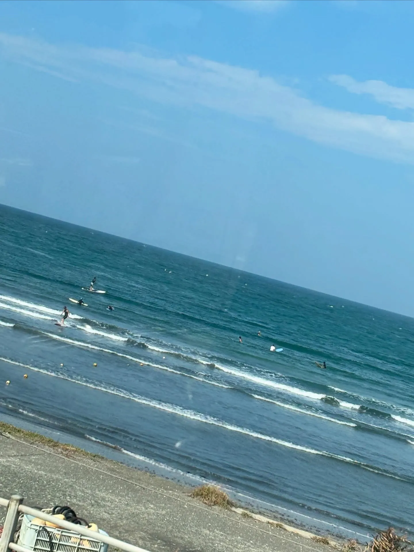 ペットの葬儀を選ぶ際、何を基準にすれば良いのか迷われる方も多...