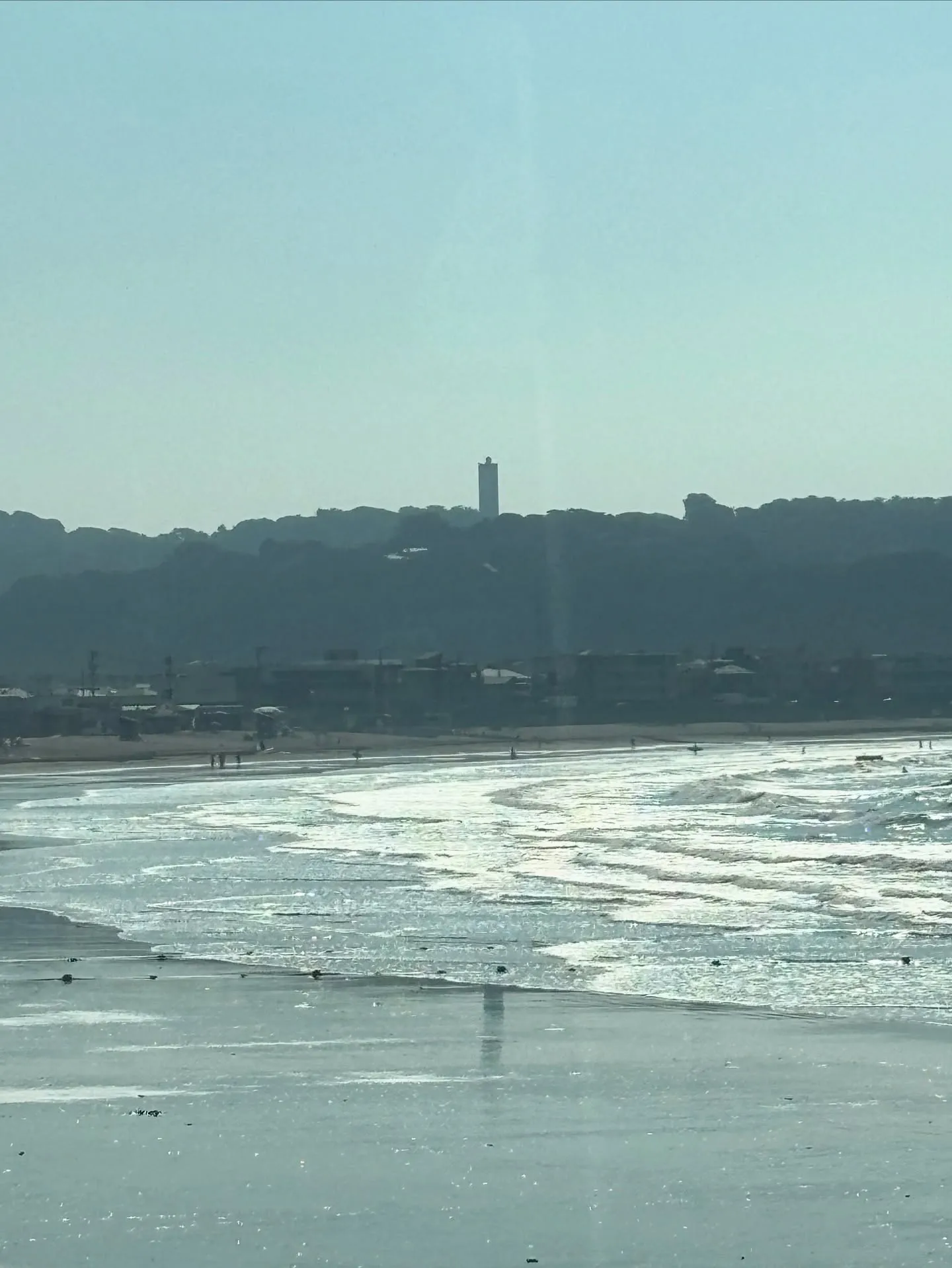 ペットの葬儀を選ぶ際、何を基準にすれば良いのか迷われる方も多...