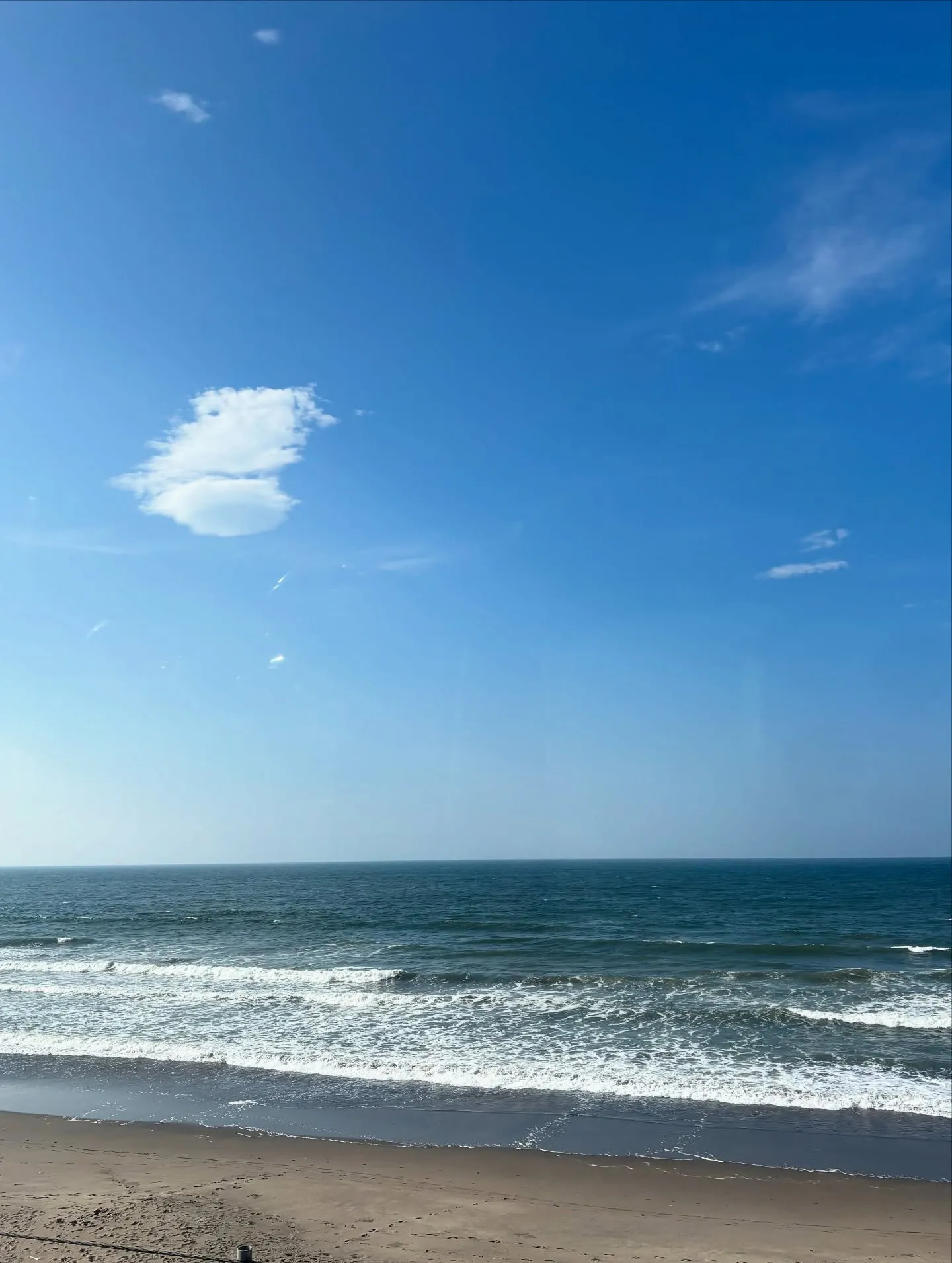 ペットの葬儀を選ぶ際、何を基準にすれば良いのか迷われる方も多...