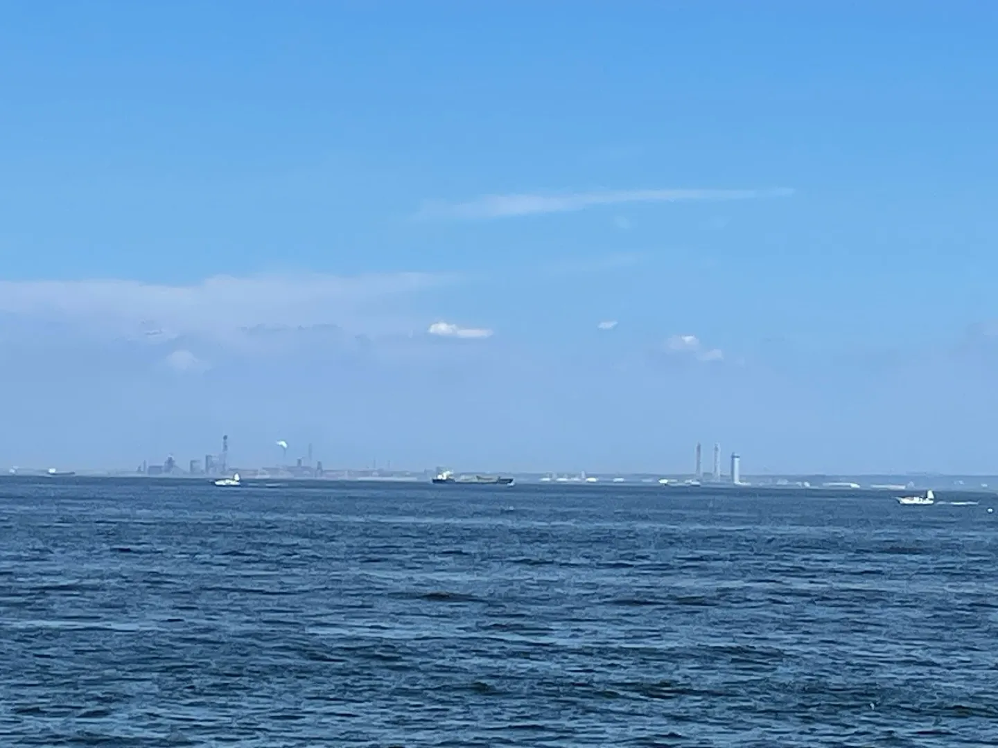 ペットとの最後の時間を安心して過ごすためには、信頼できるペッ...