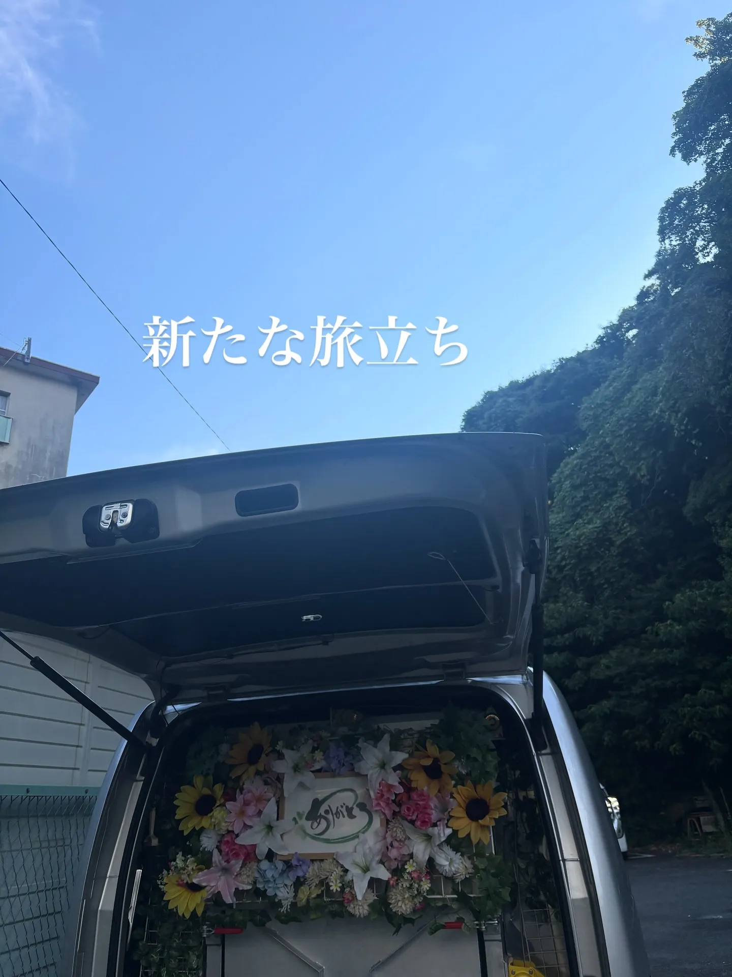 神奈川県横須賀市にて、大切な飼い猫ちゃんの訪問ペット火葬をお...