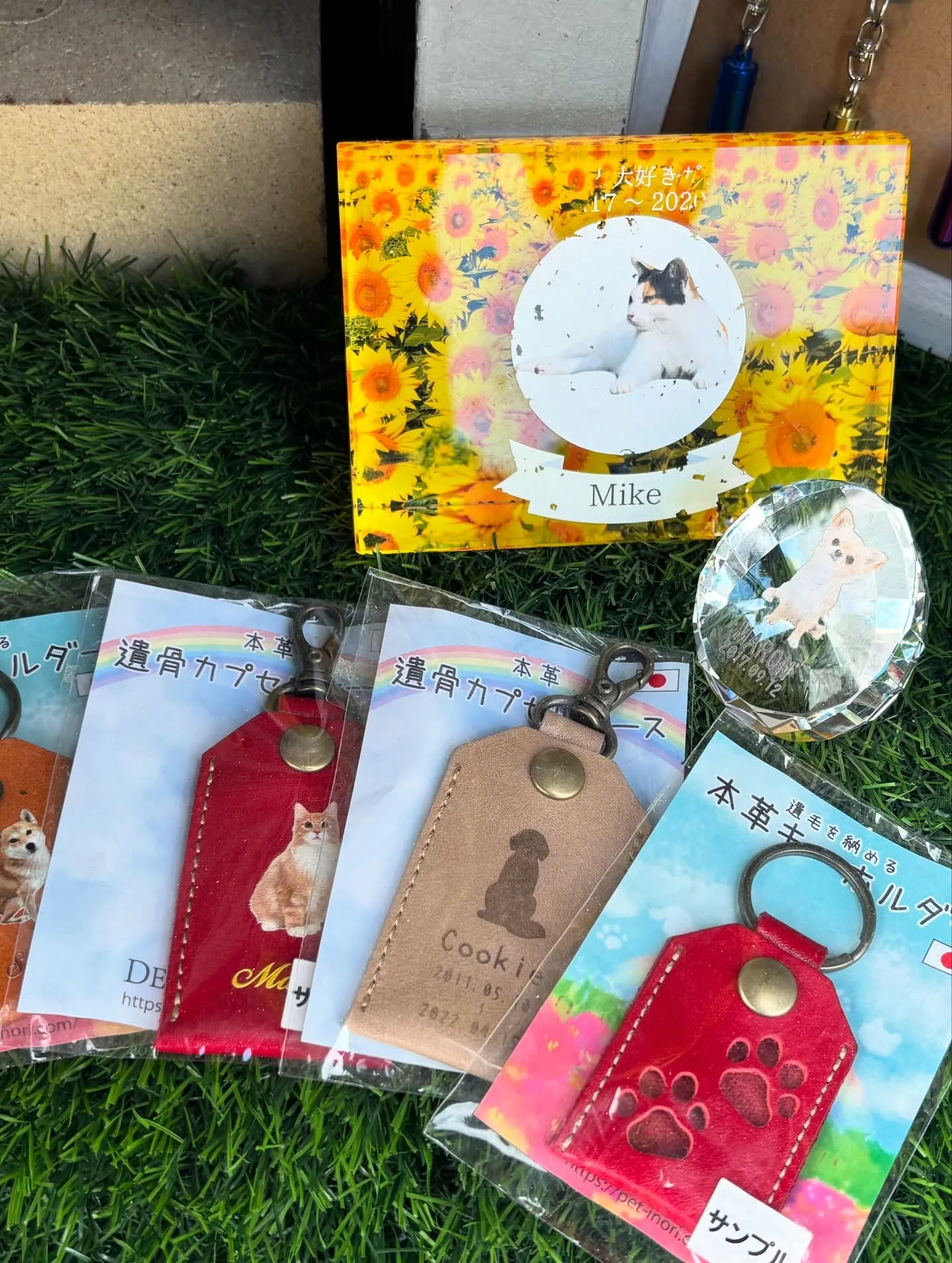 神奈川県横須賀市にて、大切な飼い猫ちゃんの訪問ペット火葬をお...