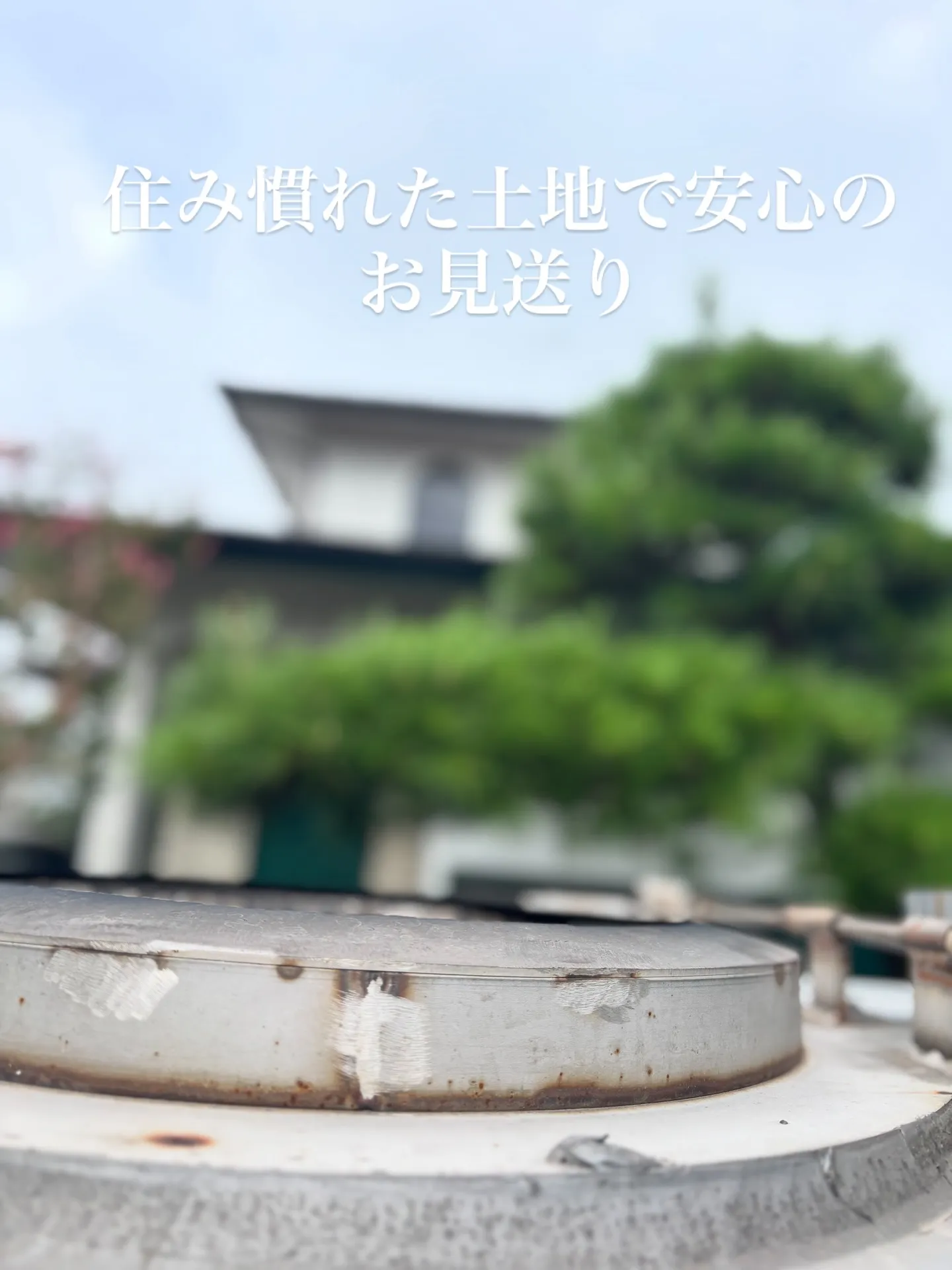 神奈川県三浦郡葉山町にて、素敵なご家族様の猫ちゃんのペット葬...